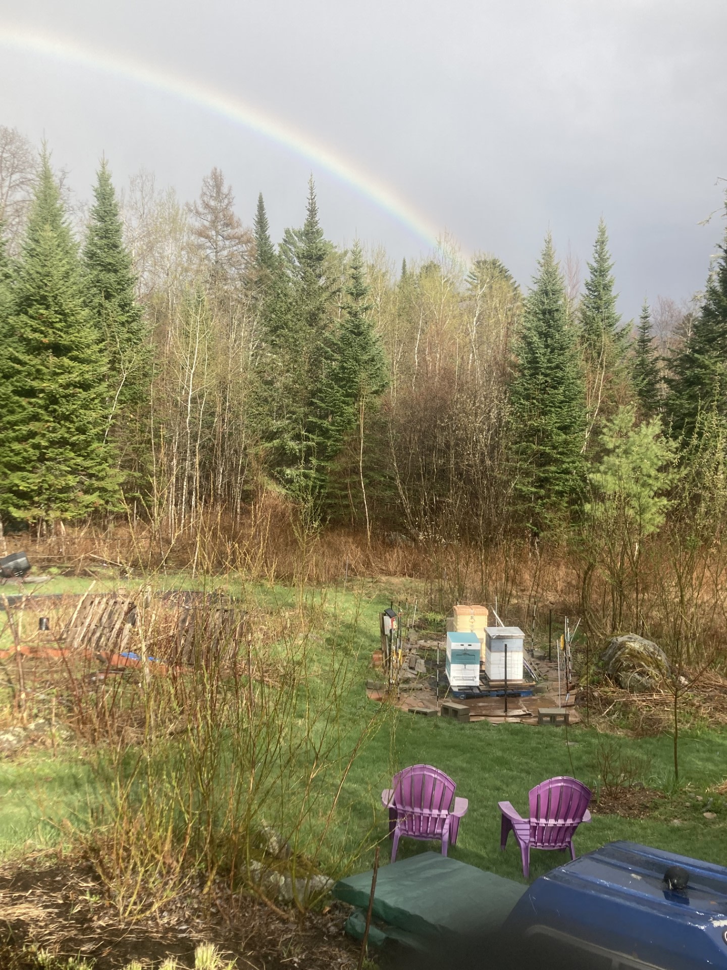 Mountain View Gardens & Apiary