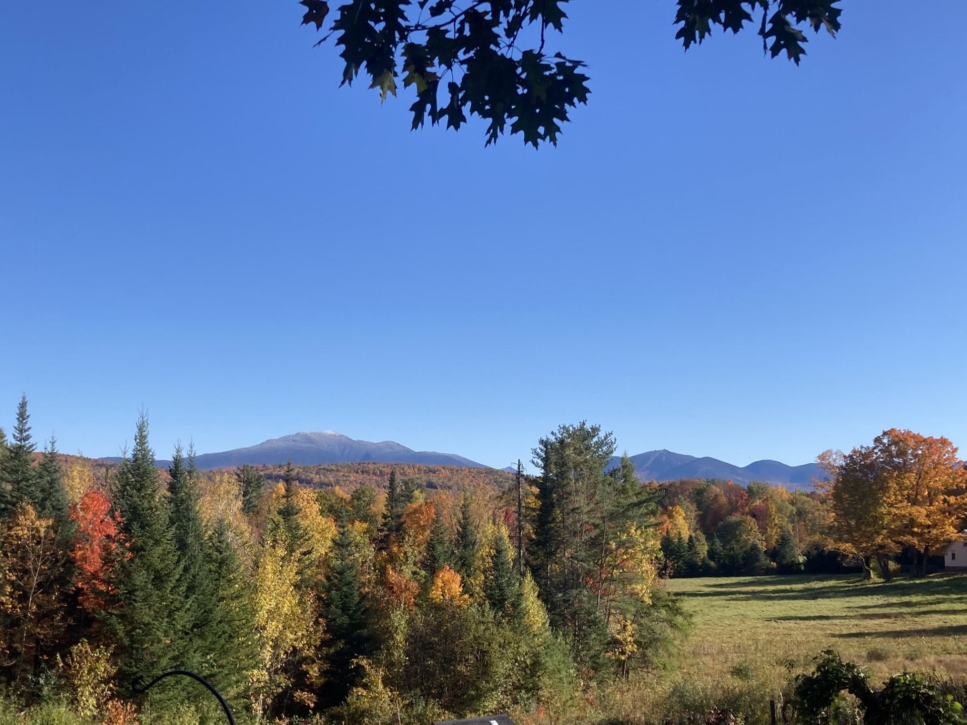 Mountain View Gardens & Apiary