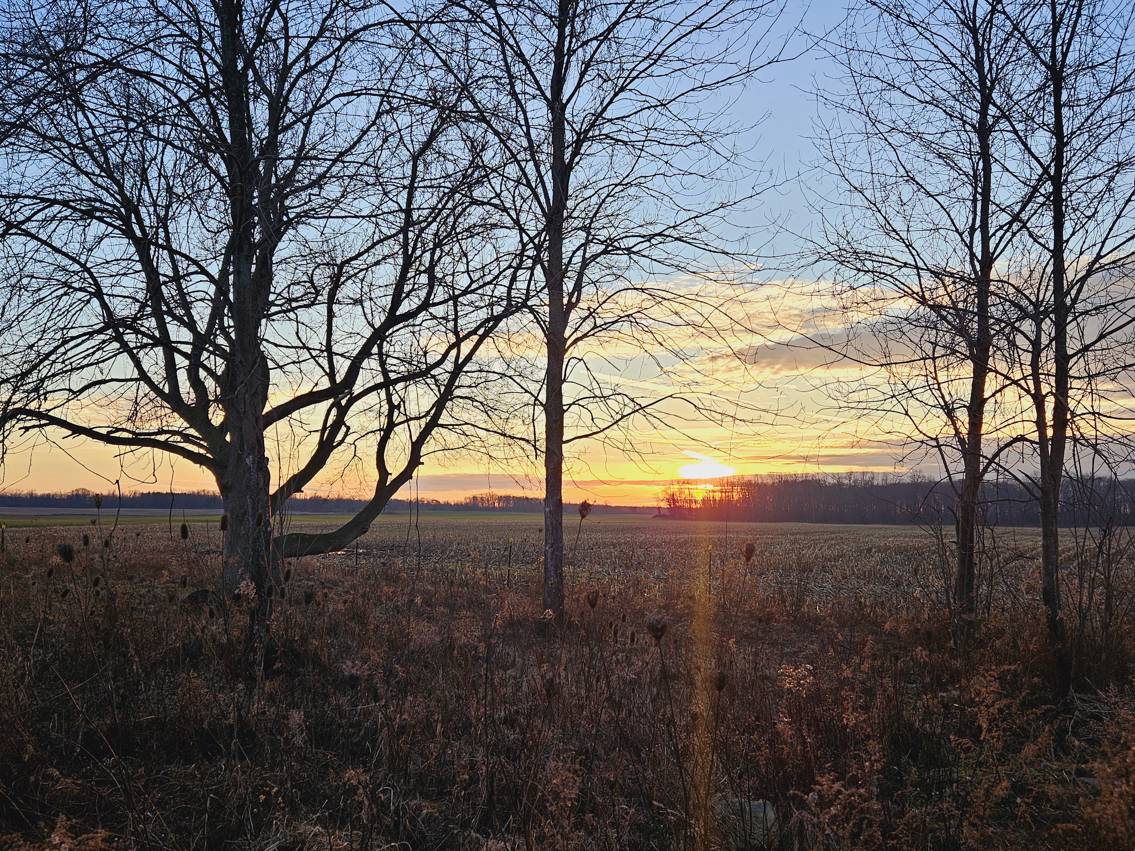 Ontario Vista On The Countryside
