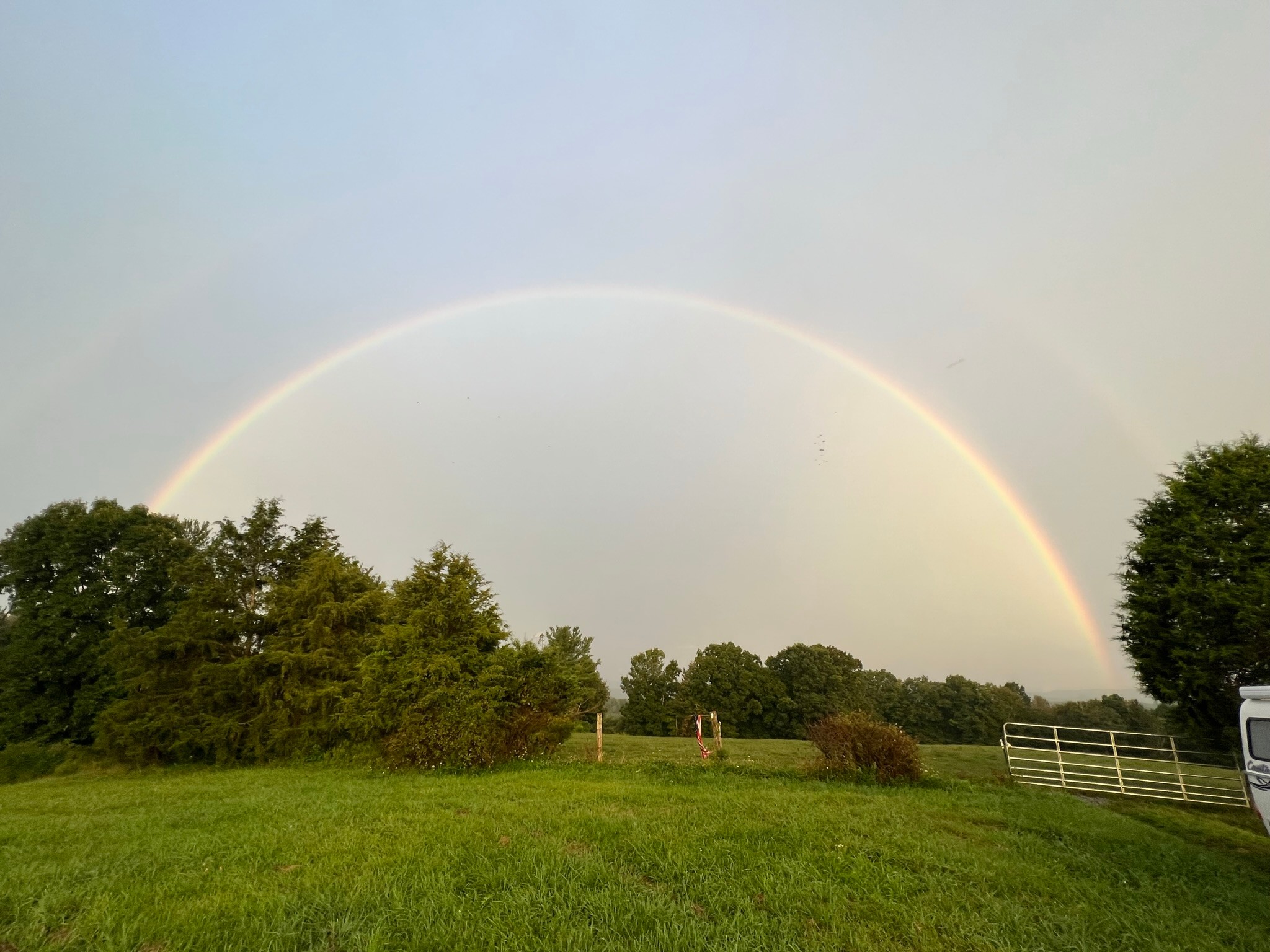 Starry Nights New River Gorge