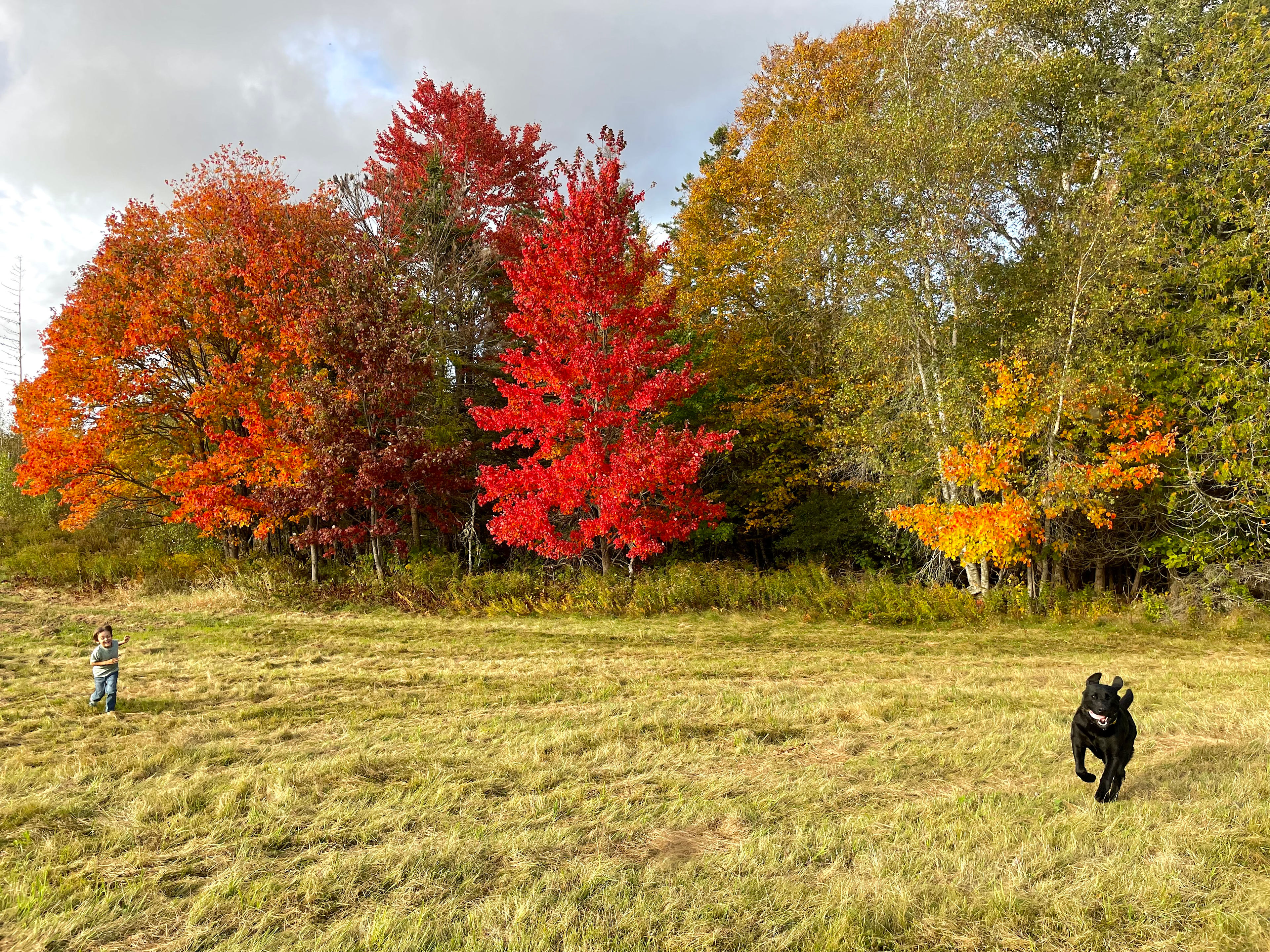 Camping at Serenity Farms