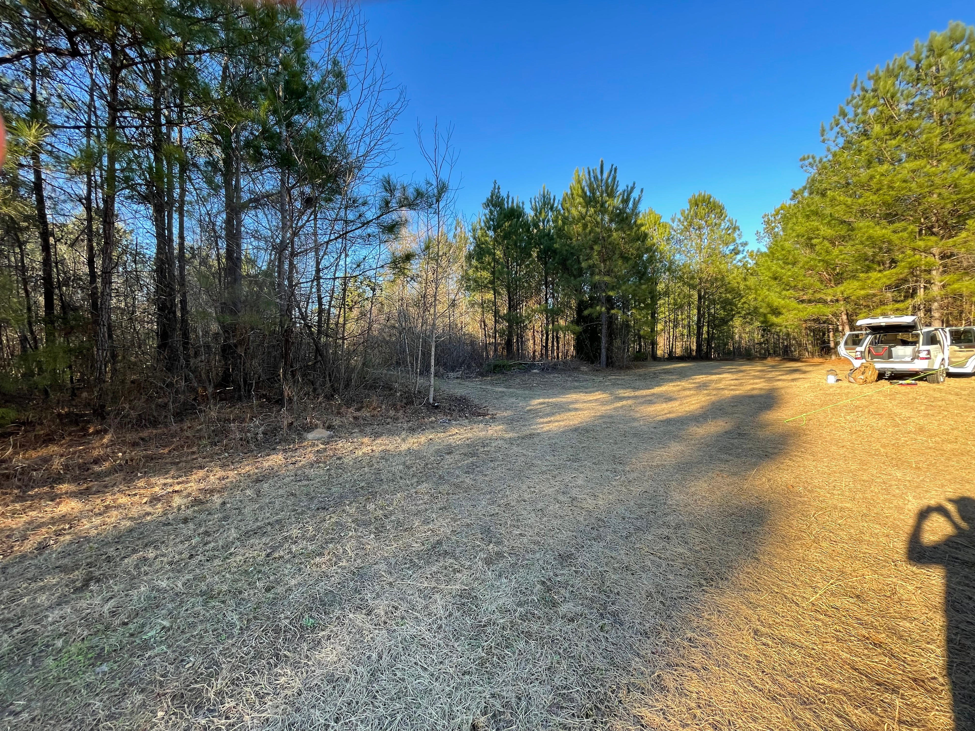 Pine And Oak Campsite