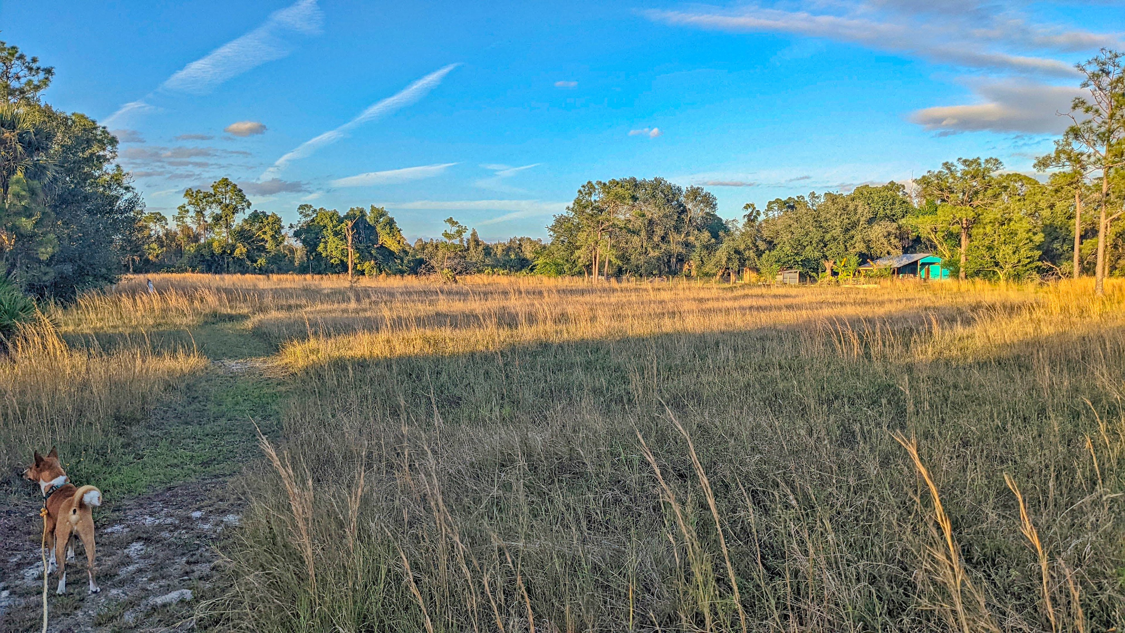 Big Sky Sanctuary