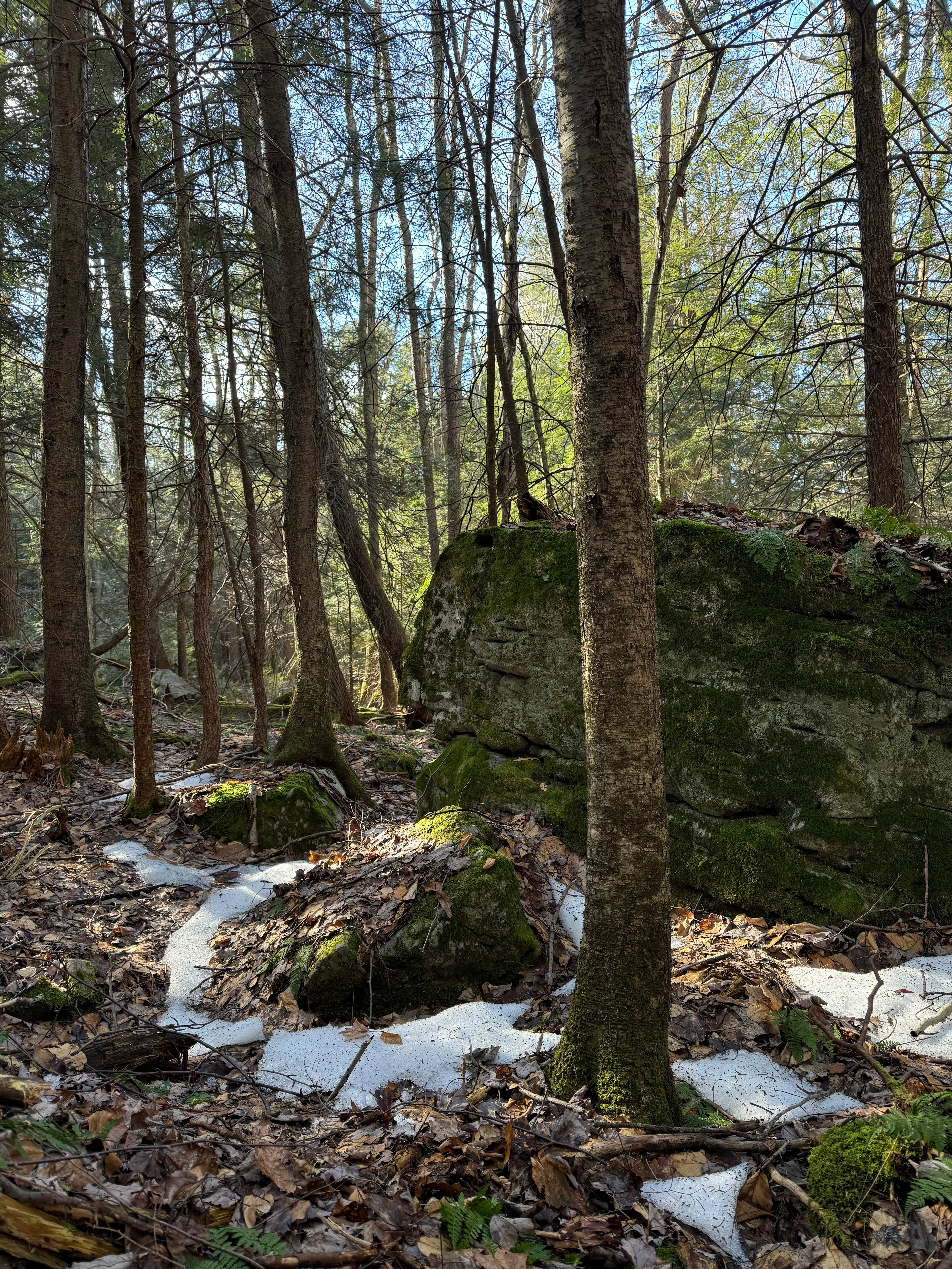 Some big mossy rocks 