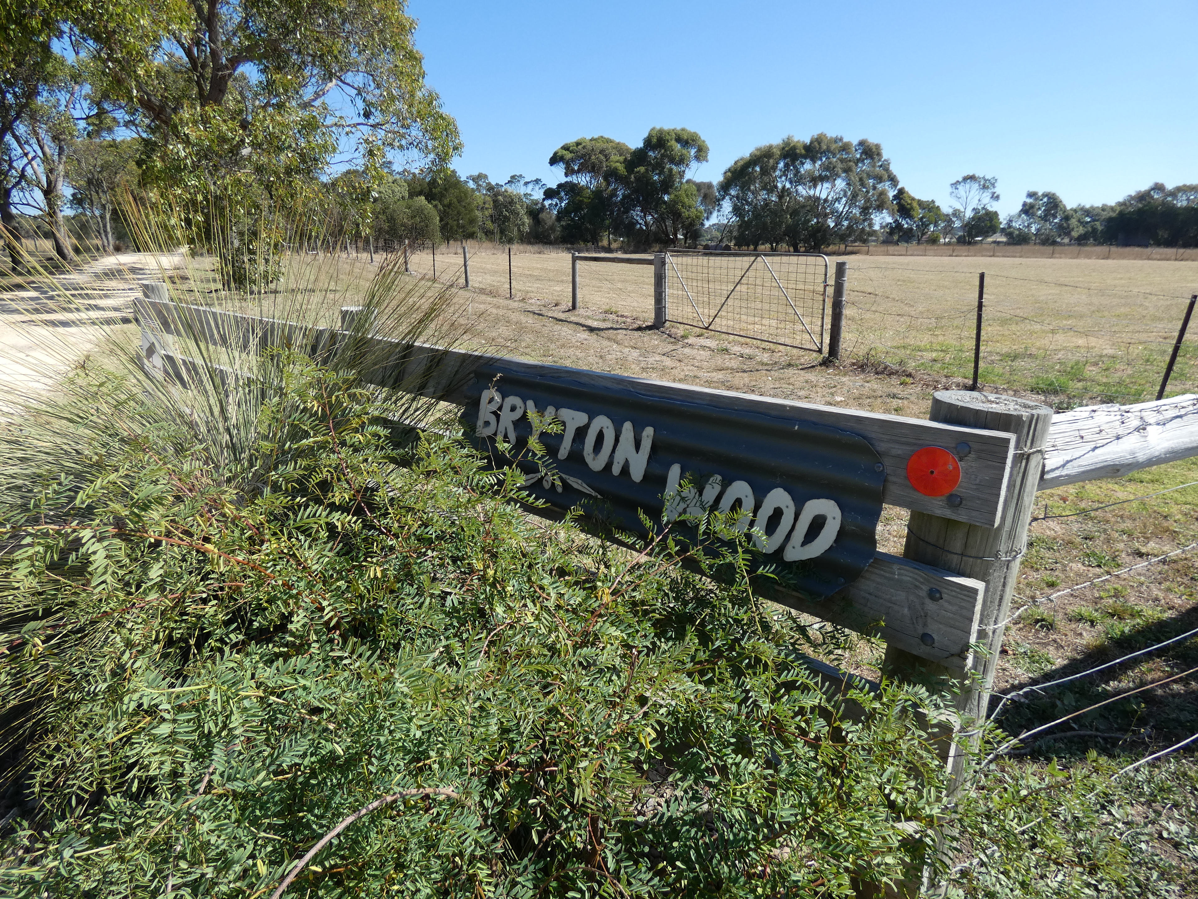 Bryton Wood Campsite