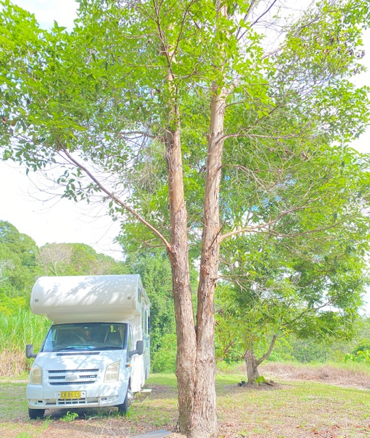 Gold Coast Hinterland Escape