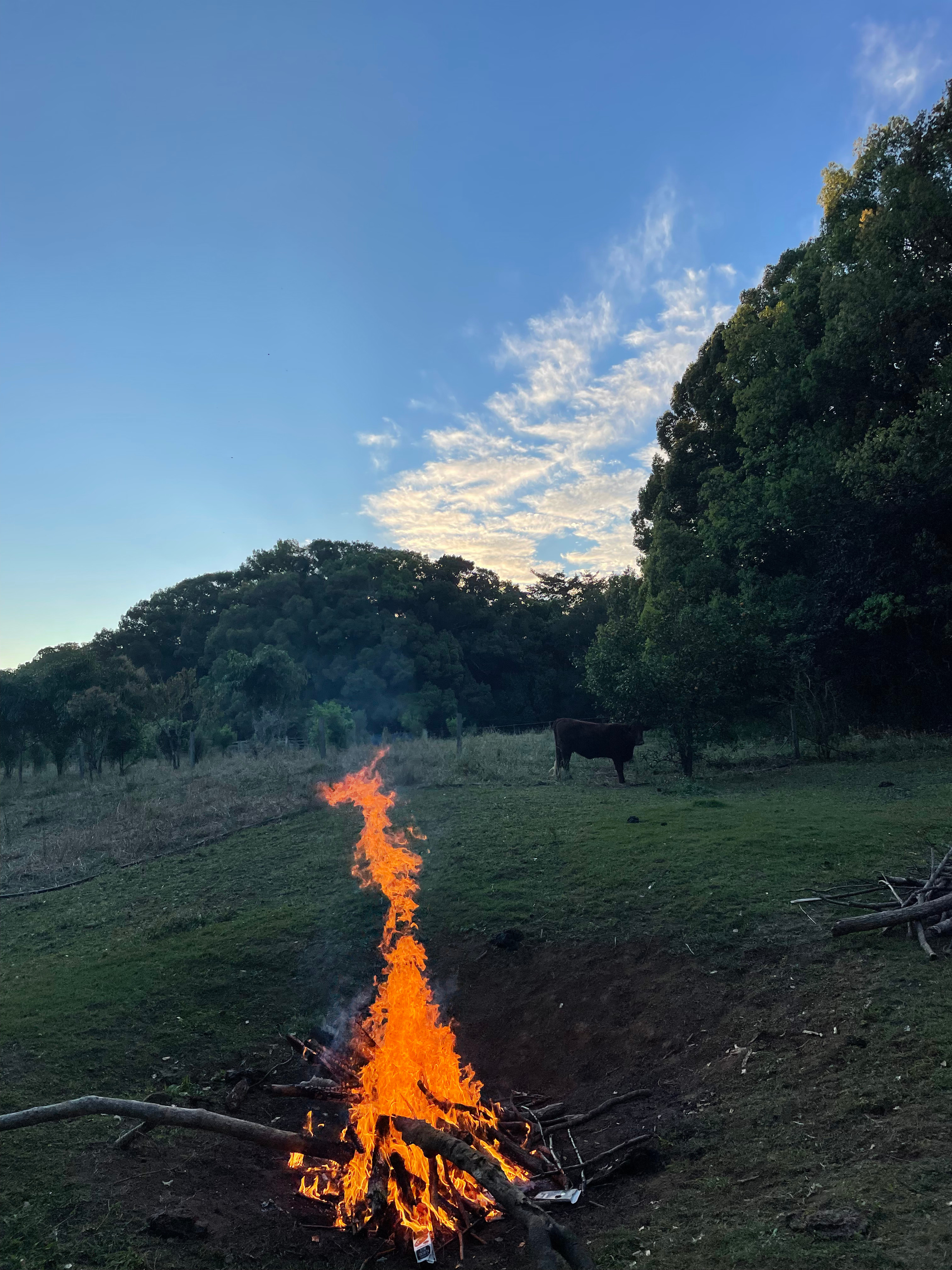 Paradise in The Pocket