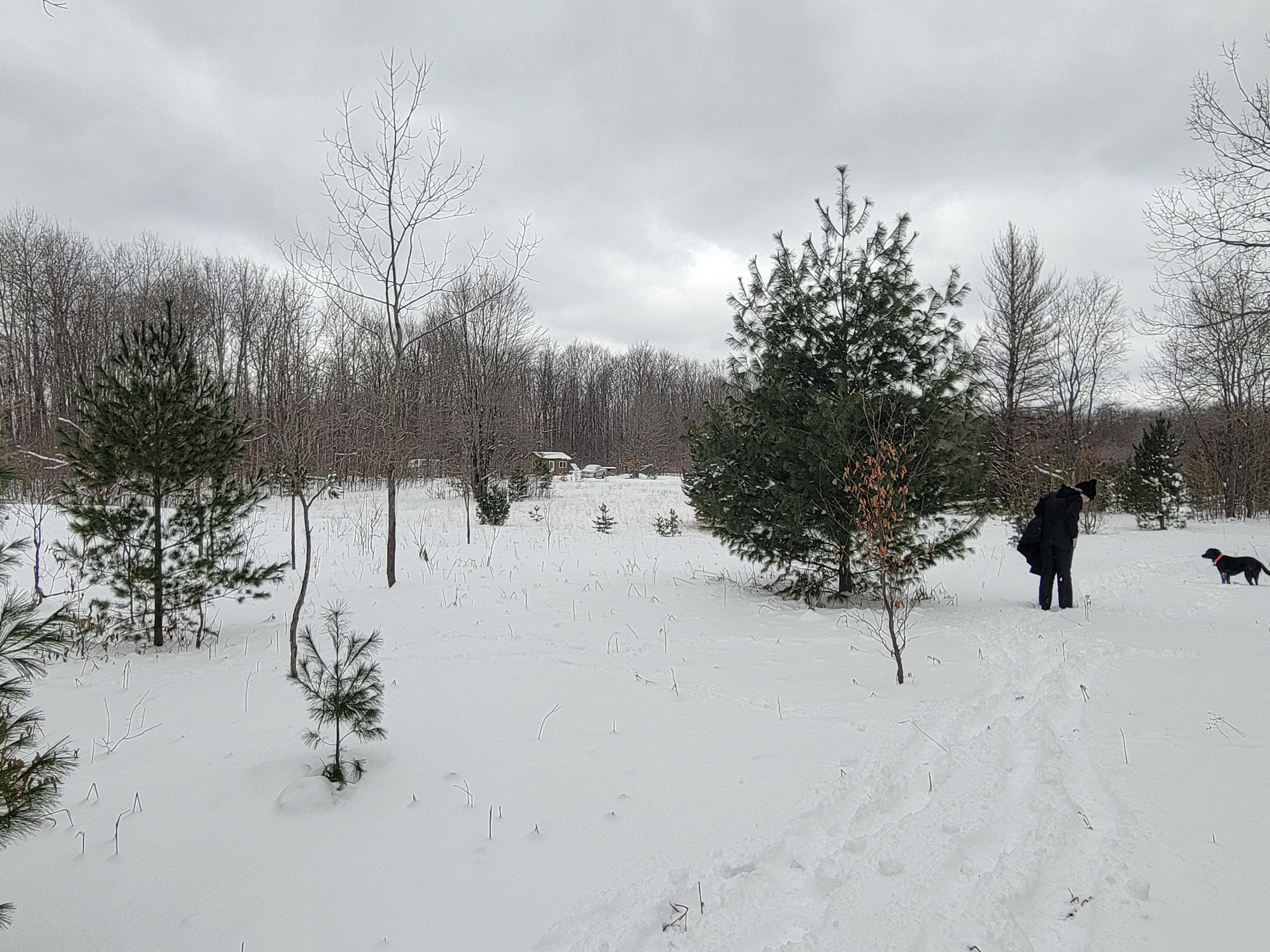 Bark Biter Farm near Rapid River