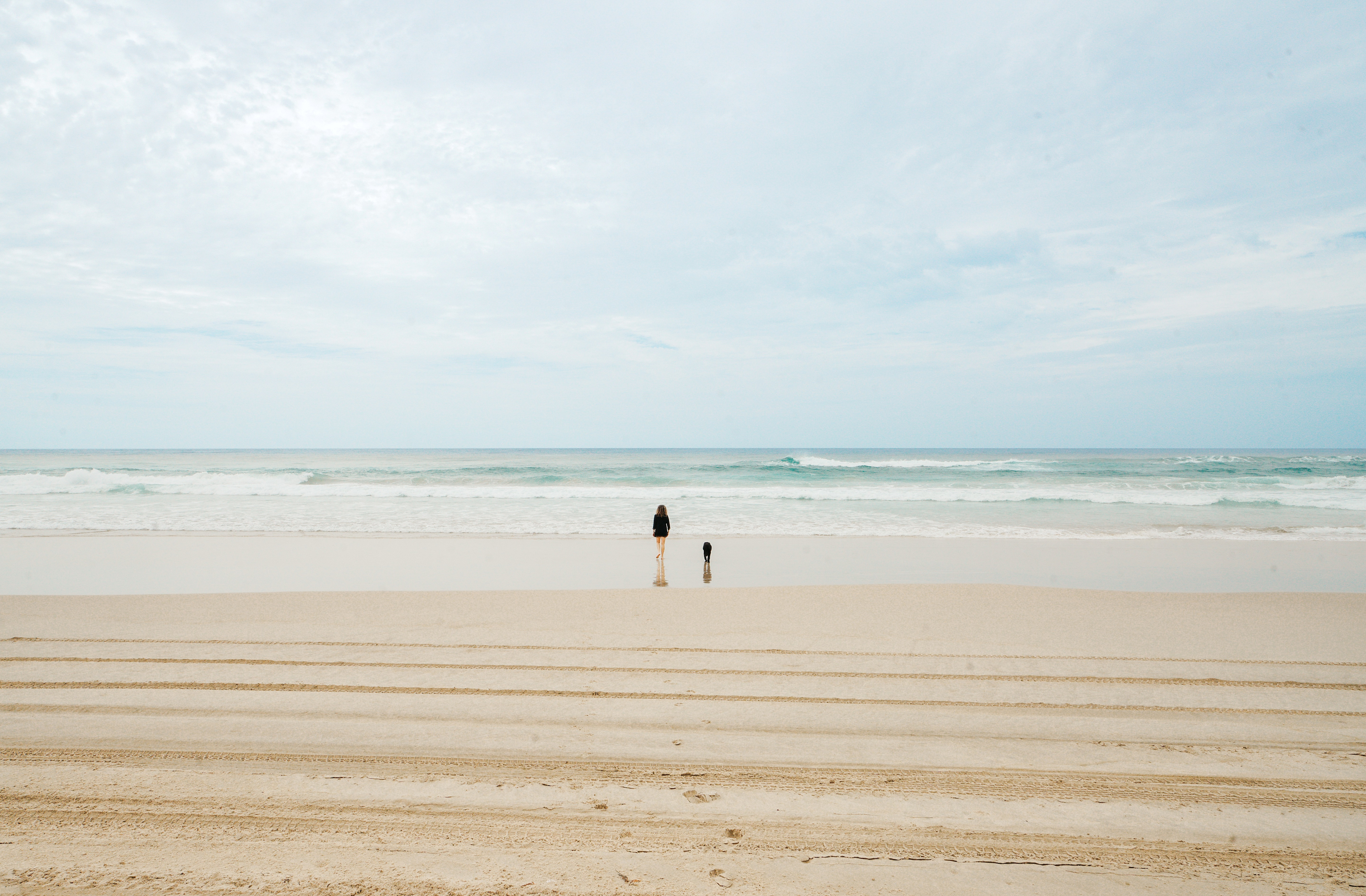 your dog with love the beach as much as you