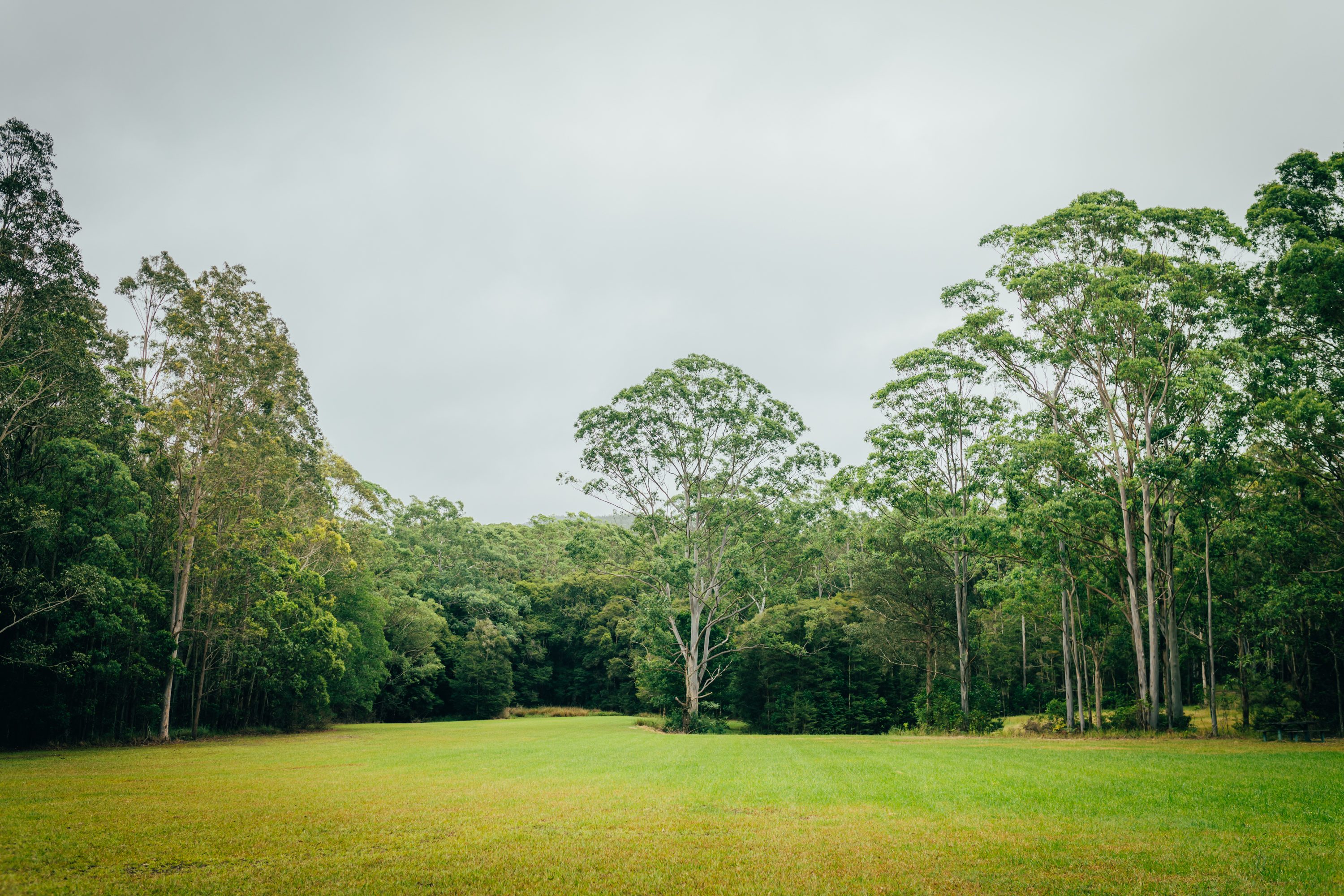 Nice big paddock that's suitable for larger groups and camp setup
