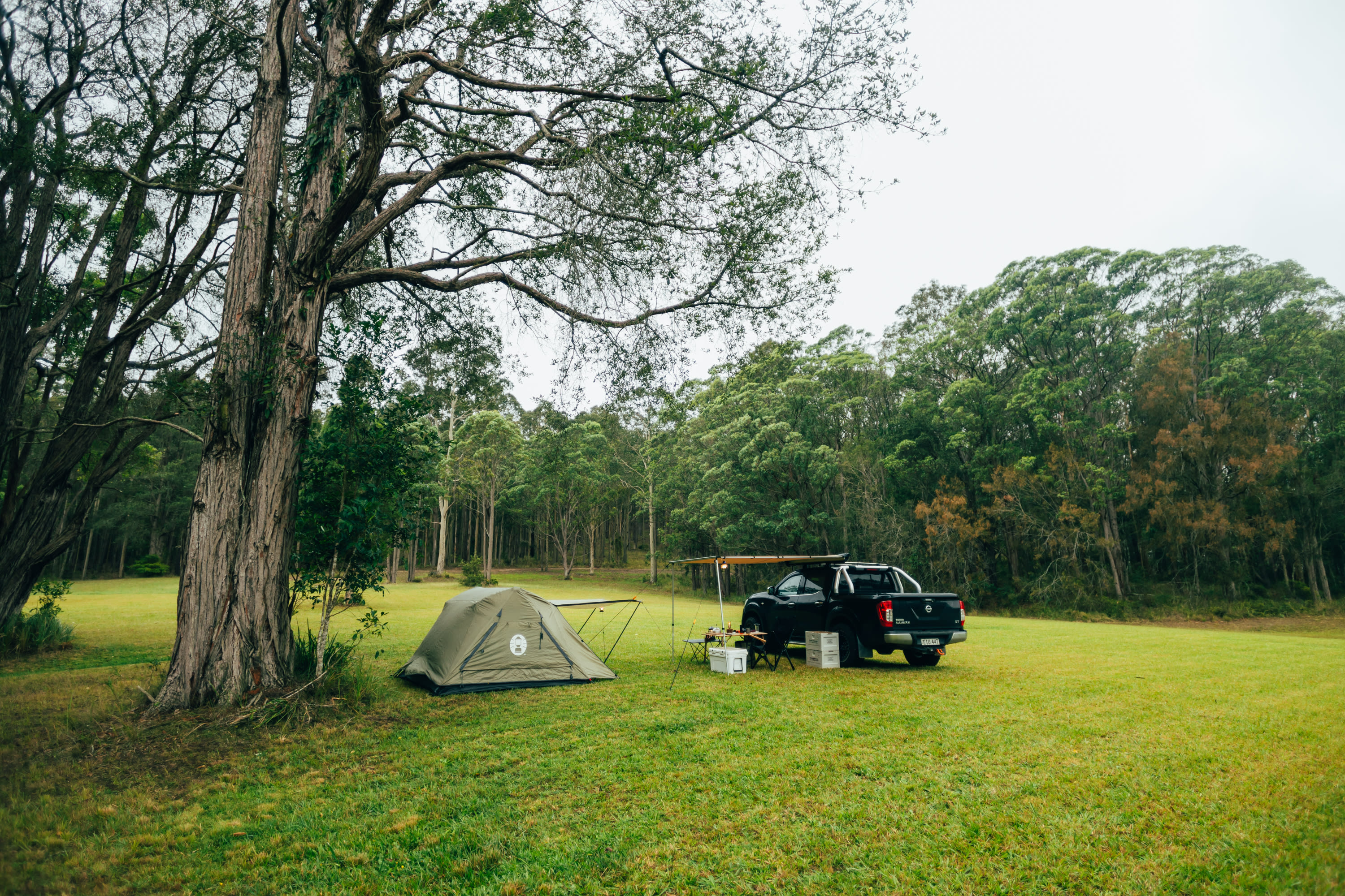 Camp setup 