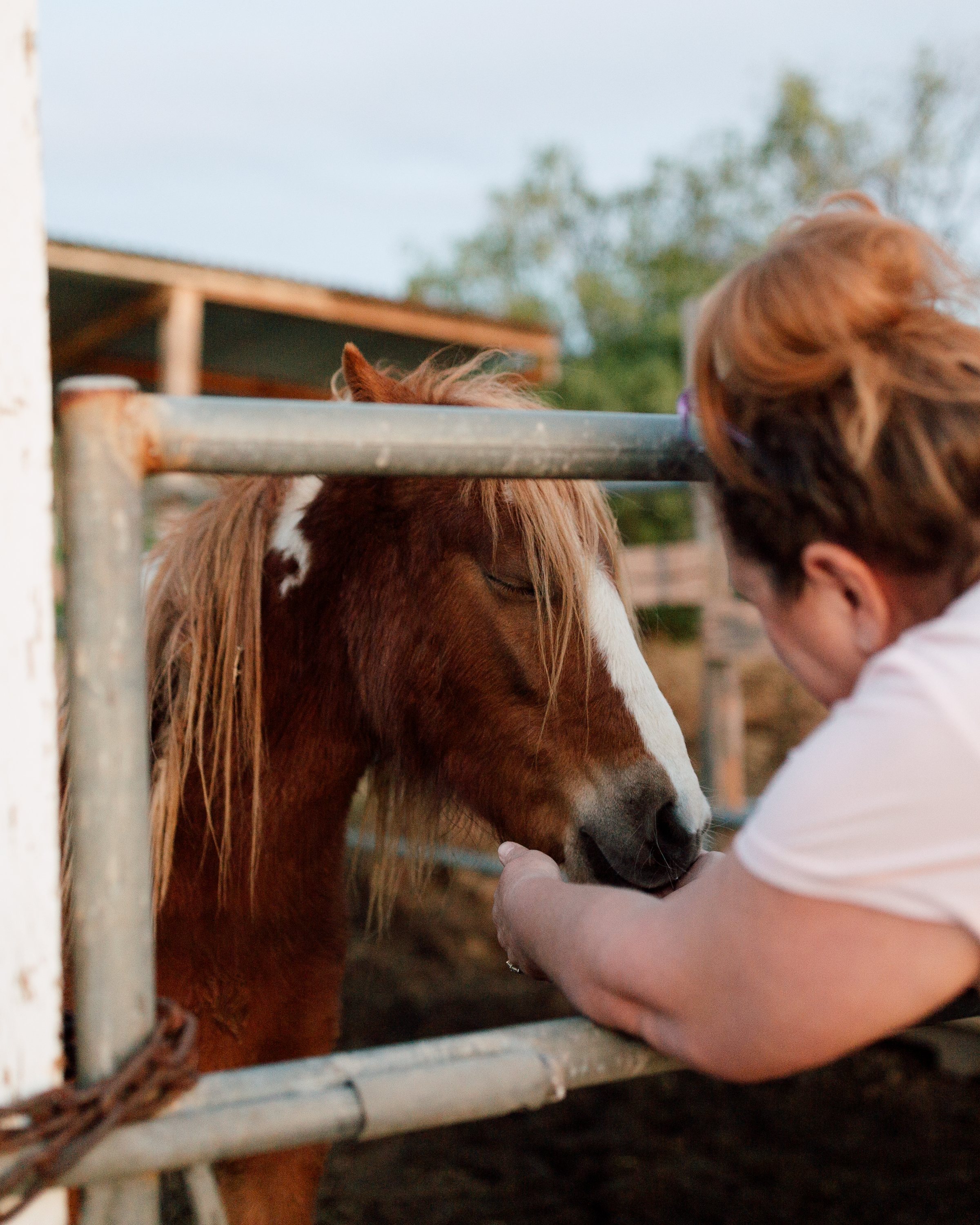 Back Acre Hills Farm