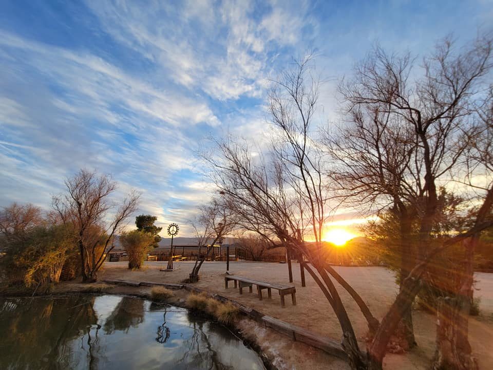 Joshua Tree Lake RV & Campground