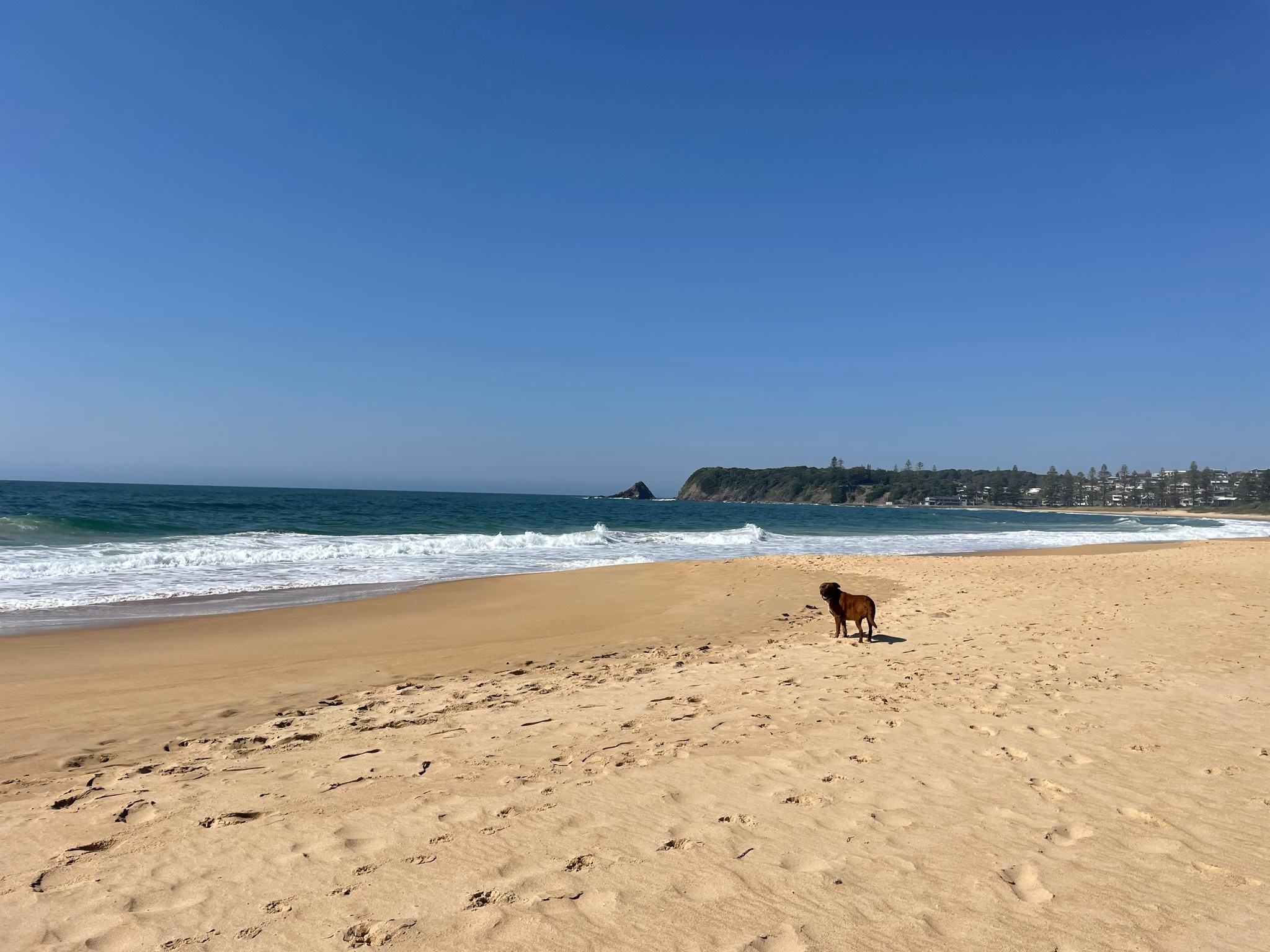 Diamond Park Campsite