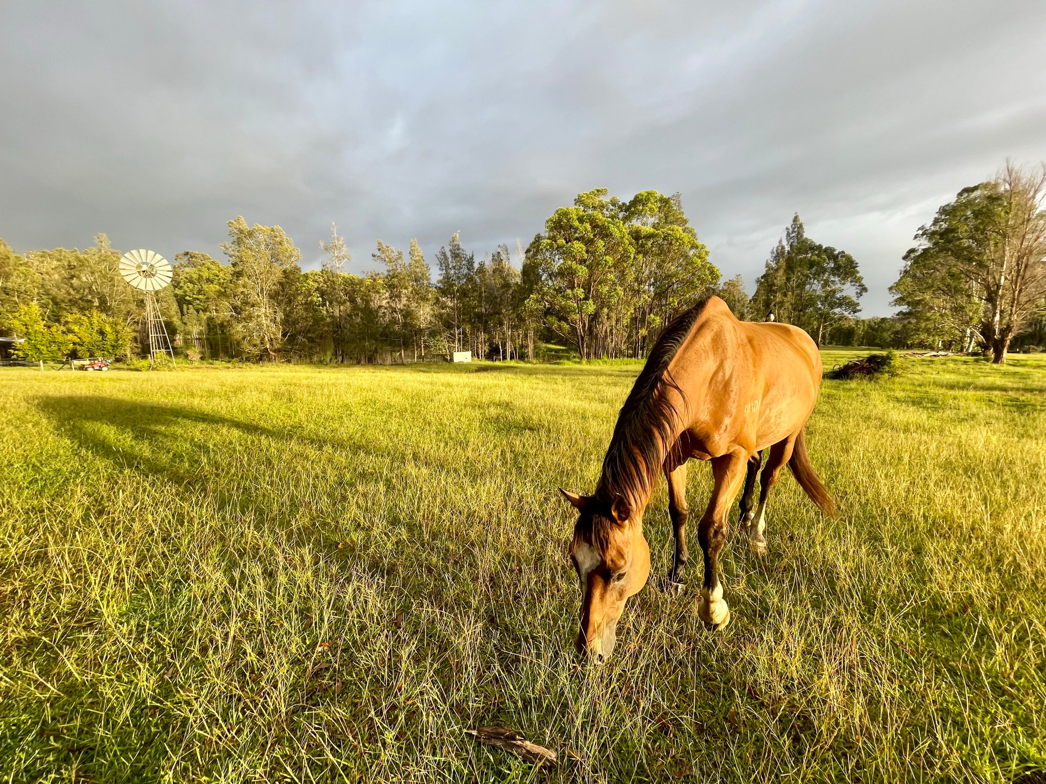 Diamond Park Campsite