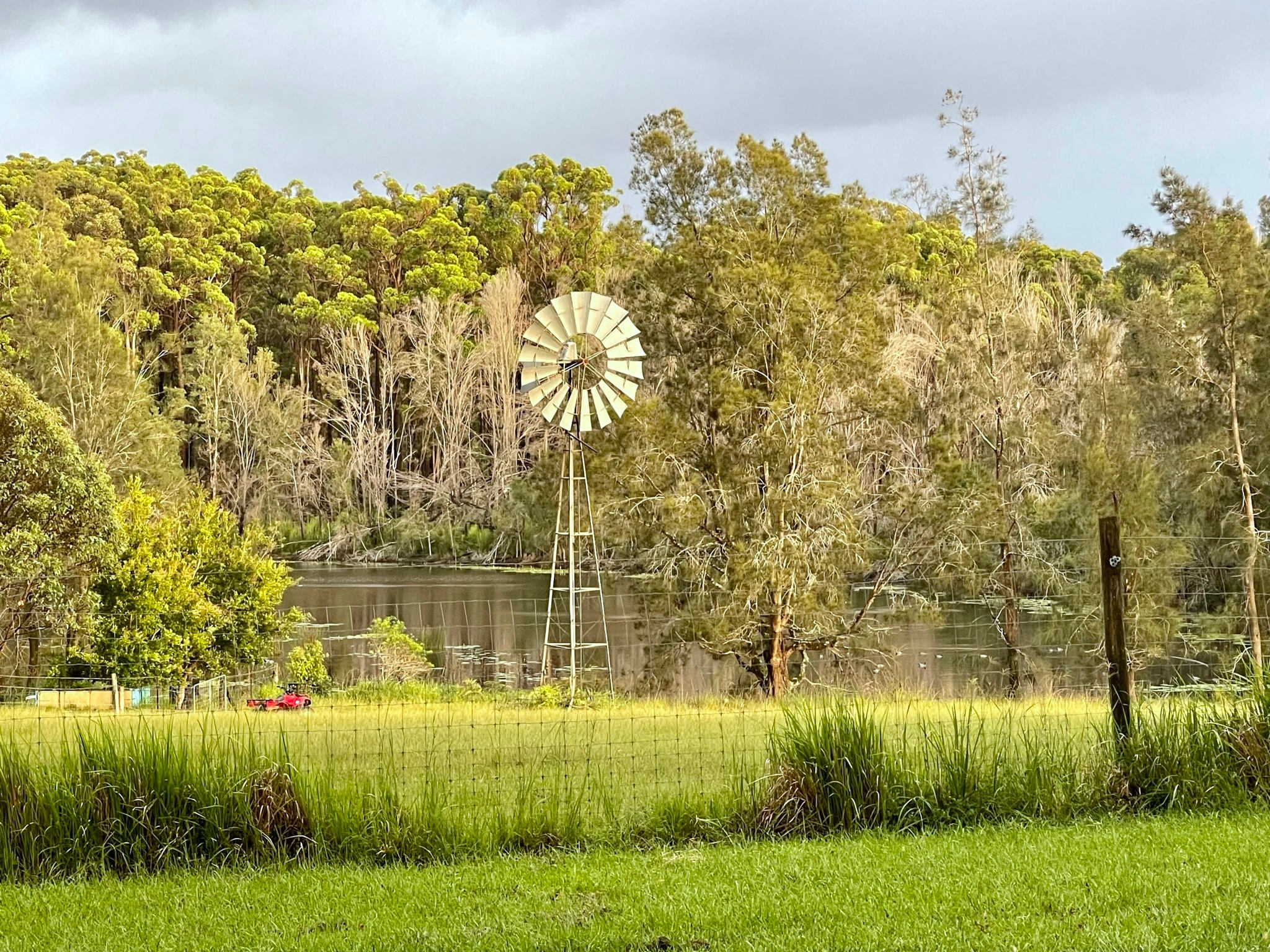 Diamond Park Campsite