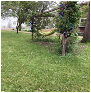 Downhome Country Farm