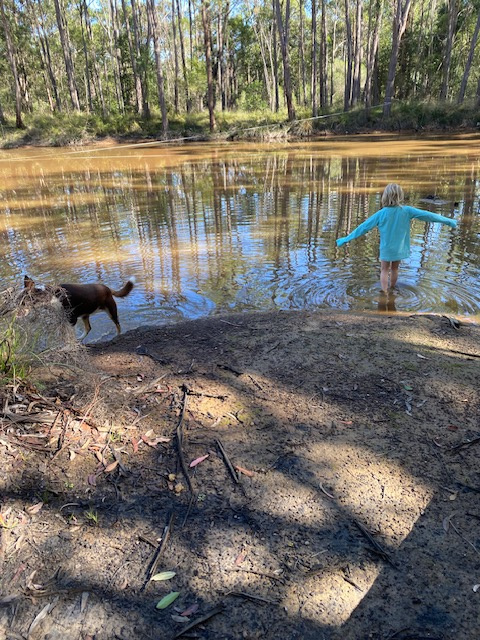 Peaceful Sunny Ridge Farm