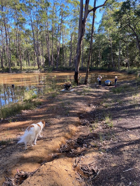 Peaceful Sunny Ridge Farm