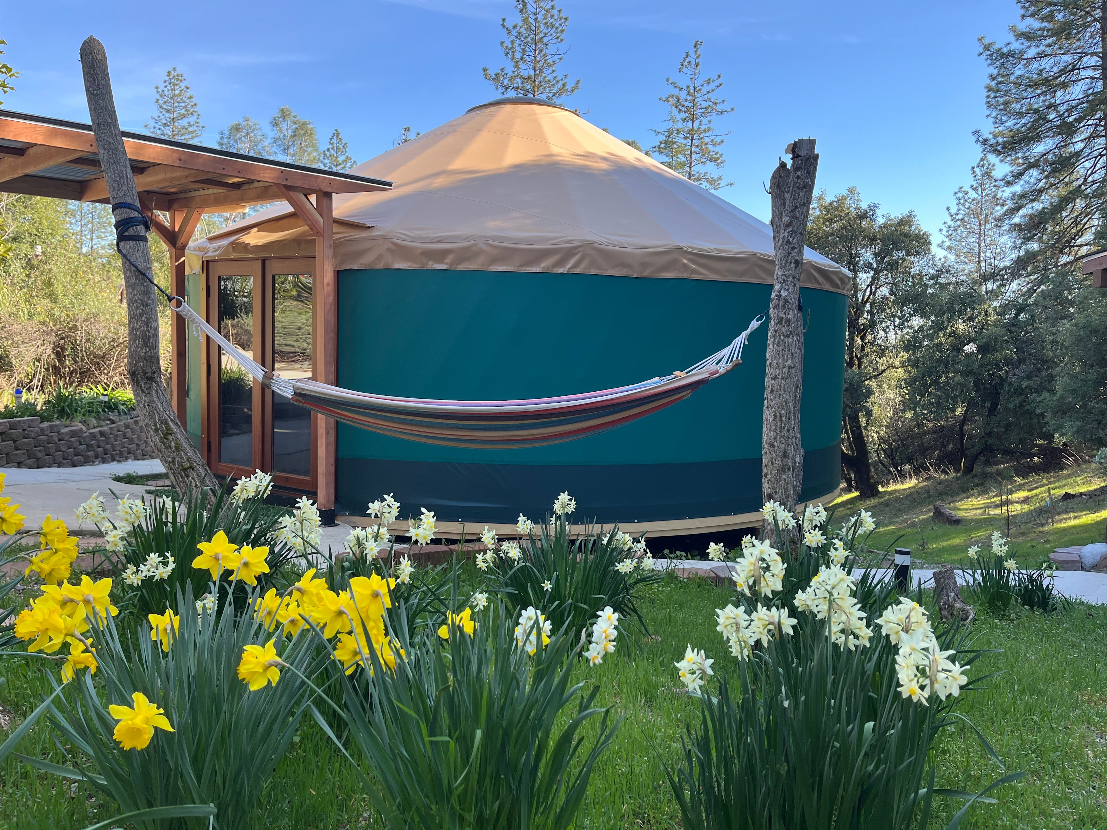 Foothills Yurt Glamping