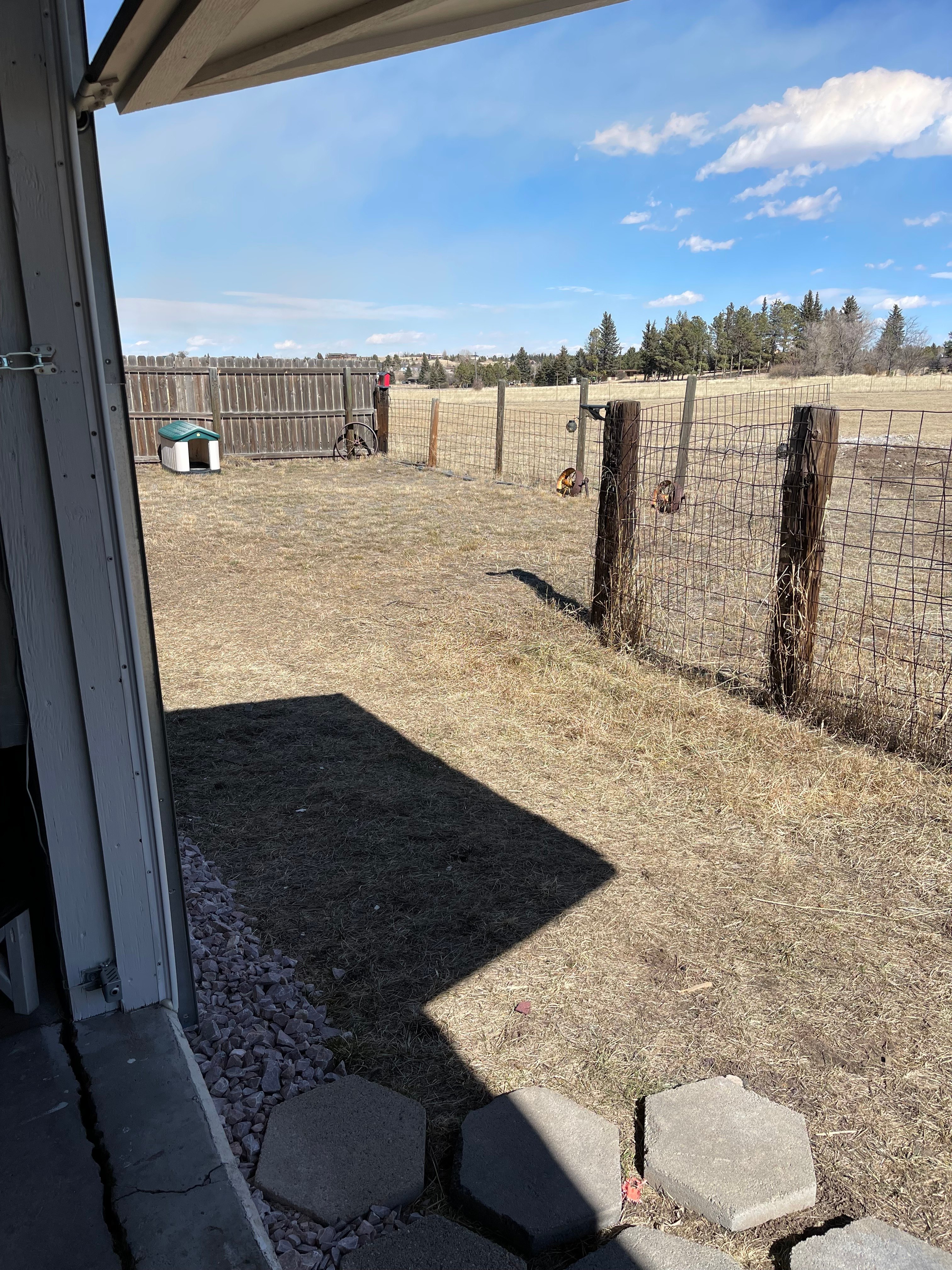Lights Out-The Shed & Pasture