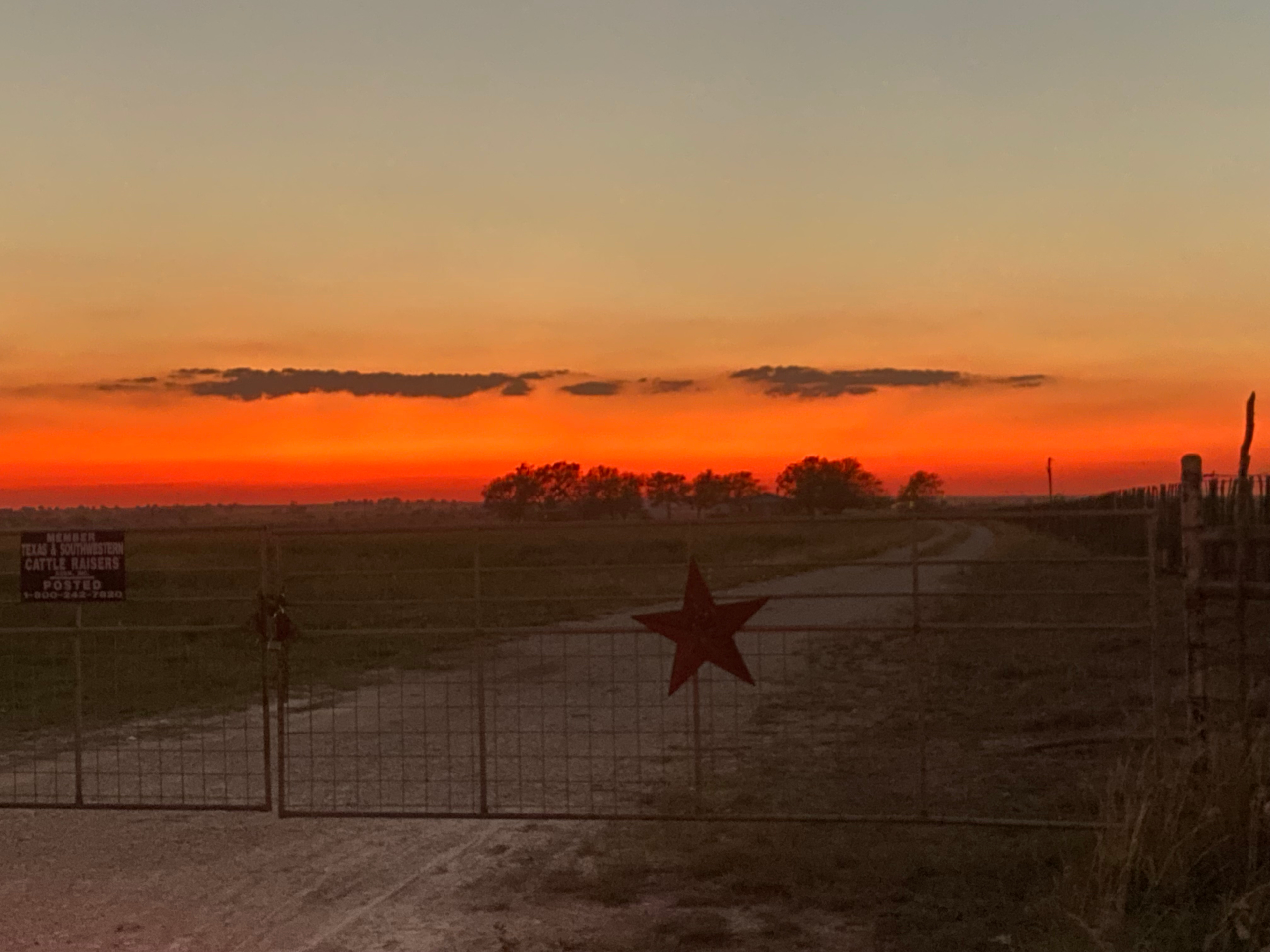 Lazy D Ranch