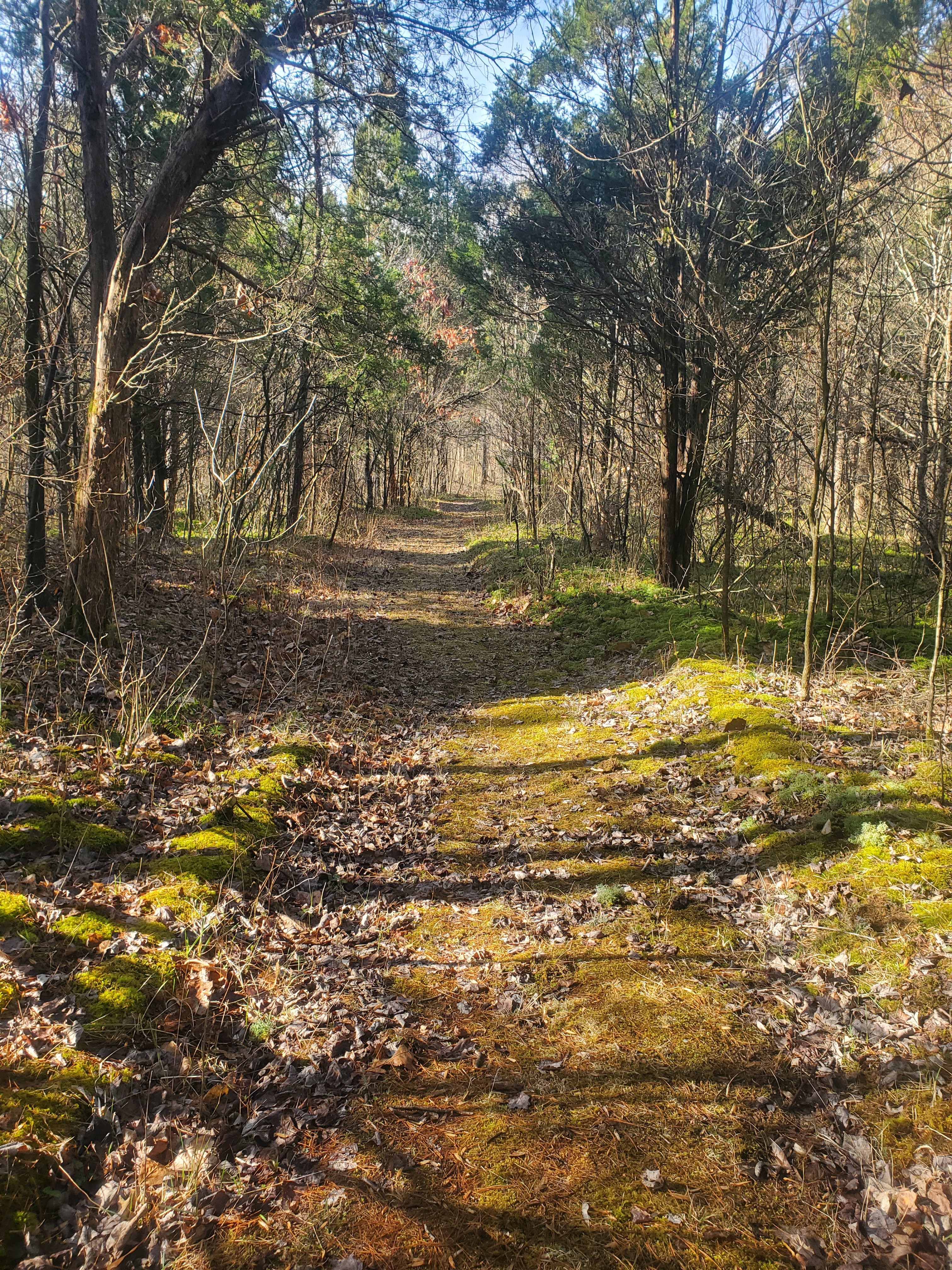 whispering moonbeam acres