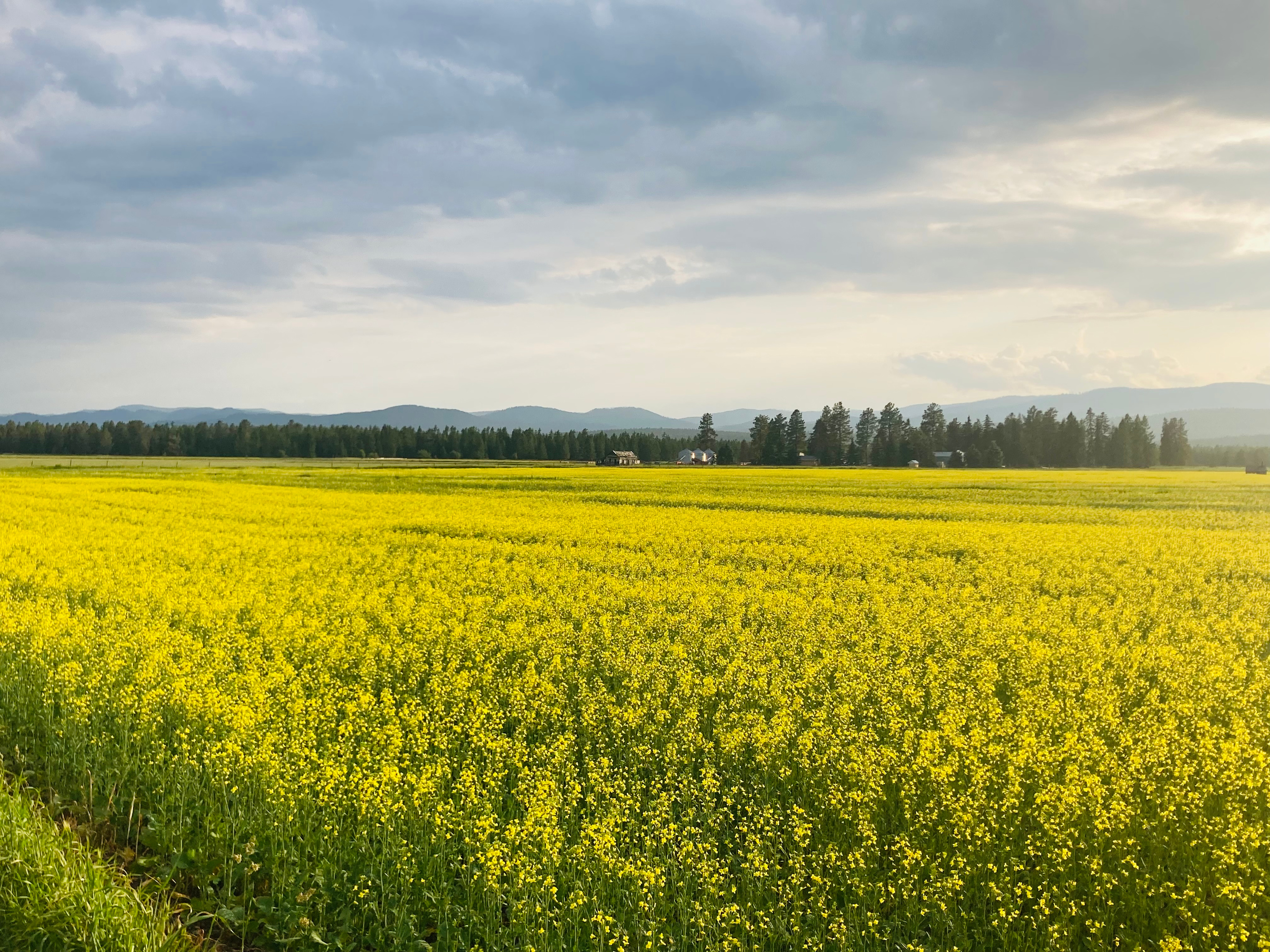 Whitefish Farms RV Sites