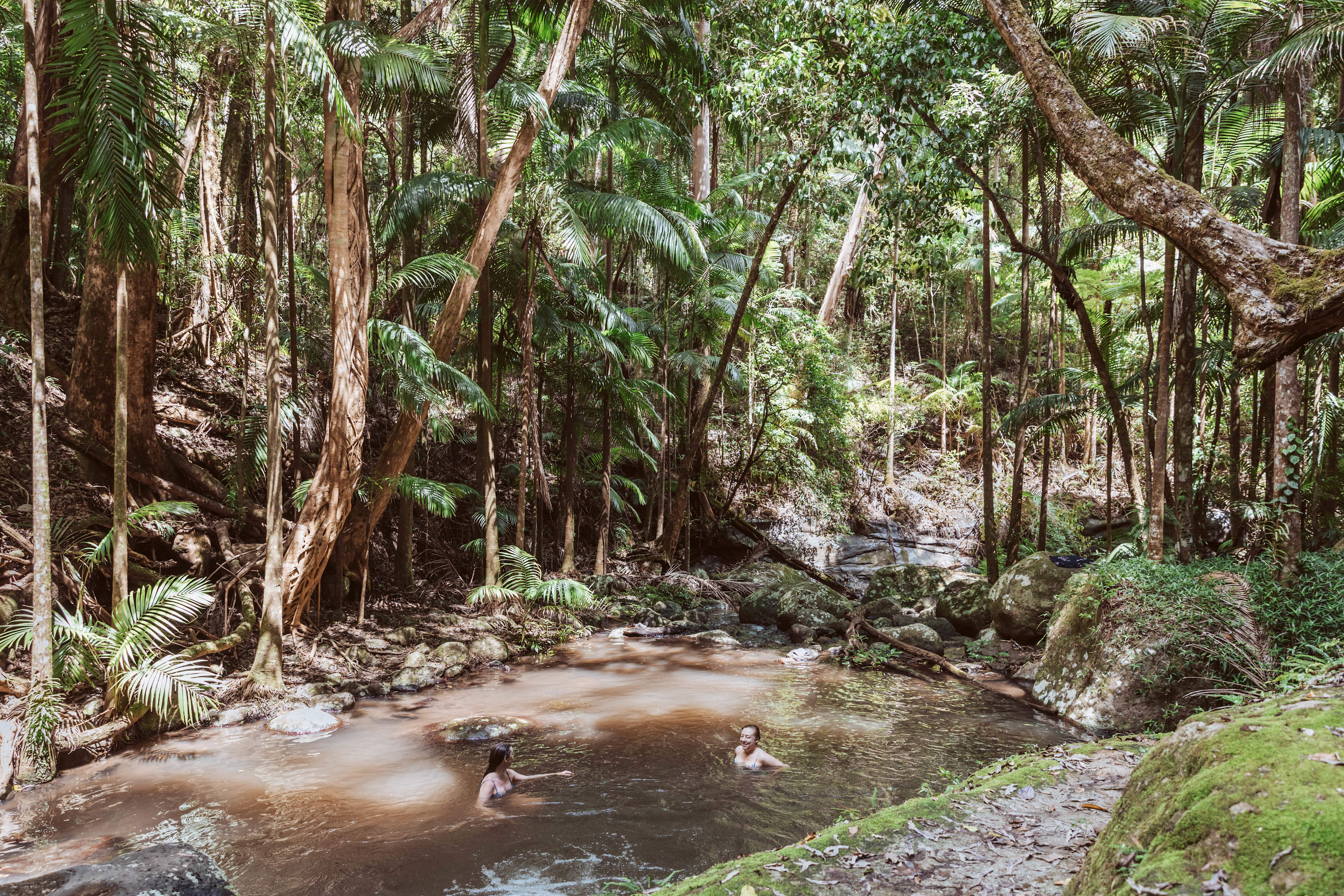 Bower Camp Co. - Border Ranges