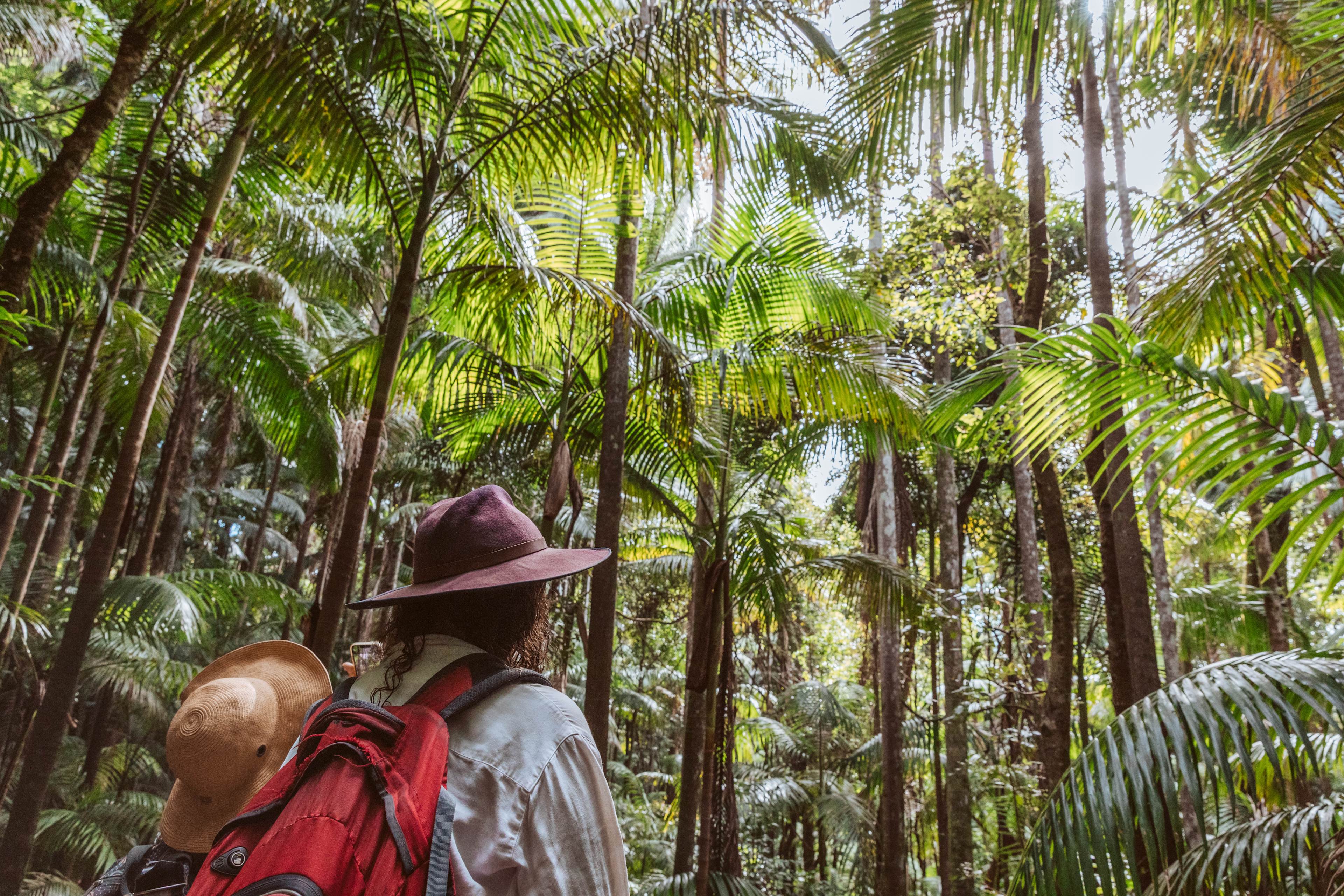 Bower Camp Co. - Border Ranges