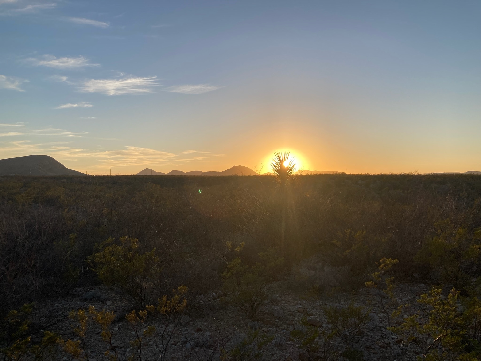 Ocotillo Flats Camping
