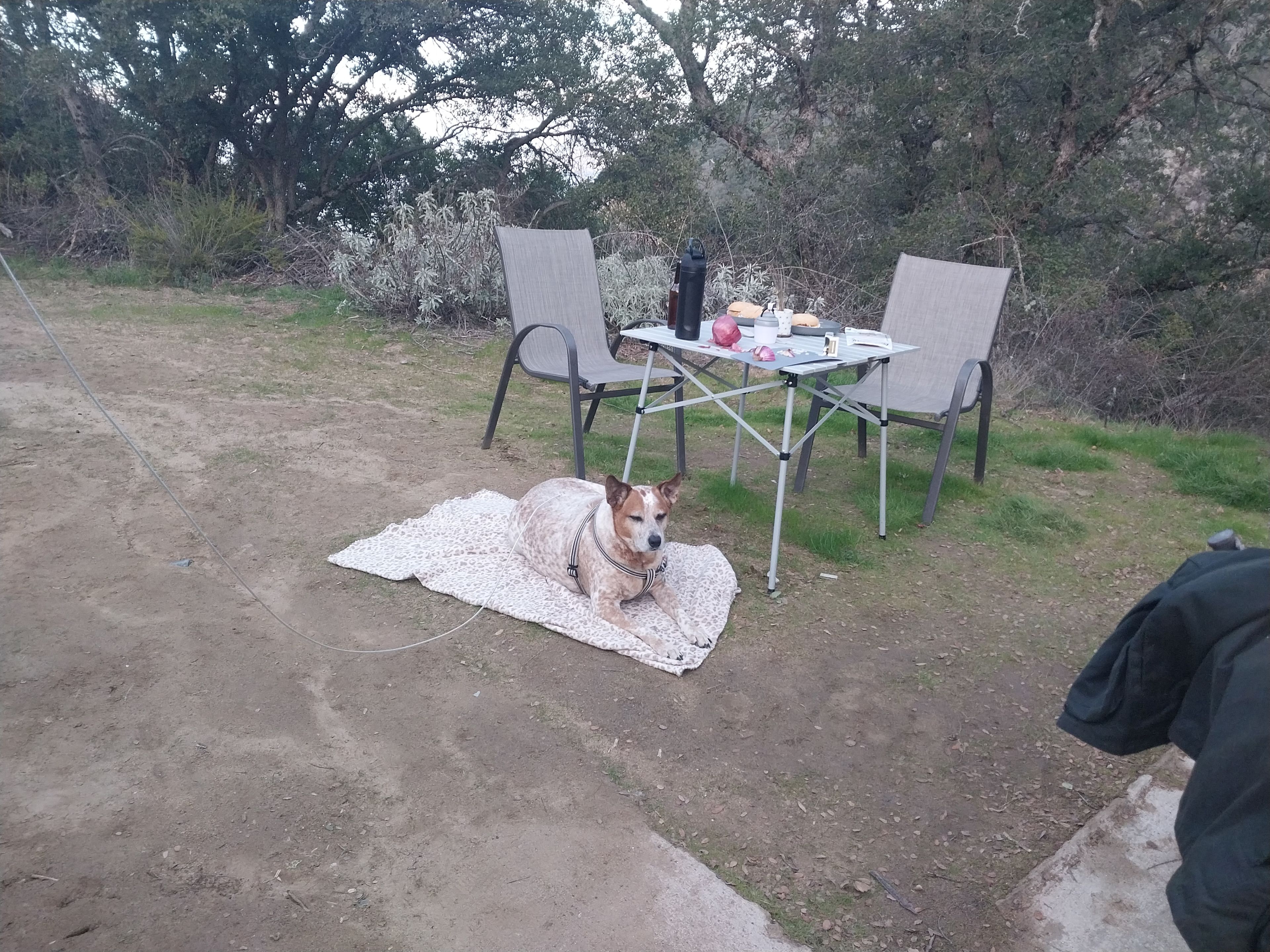 Santa Ysabel Dark Sky Retreat