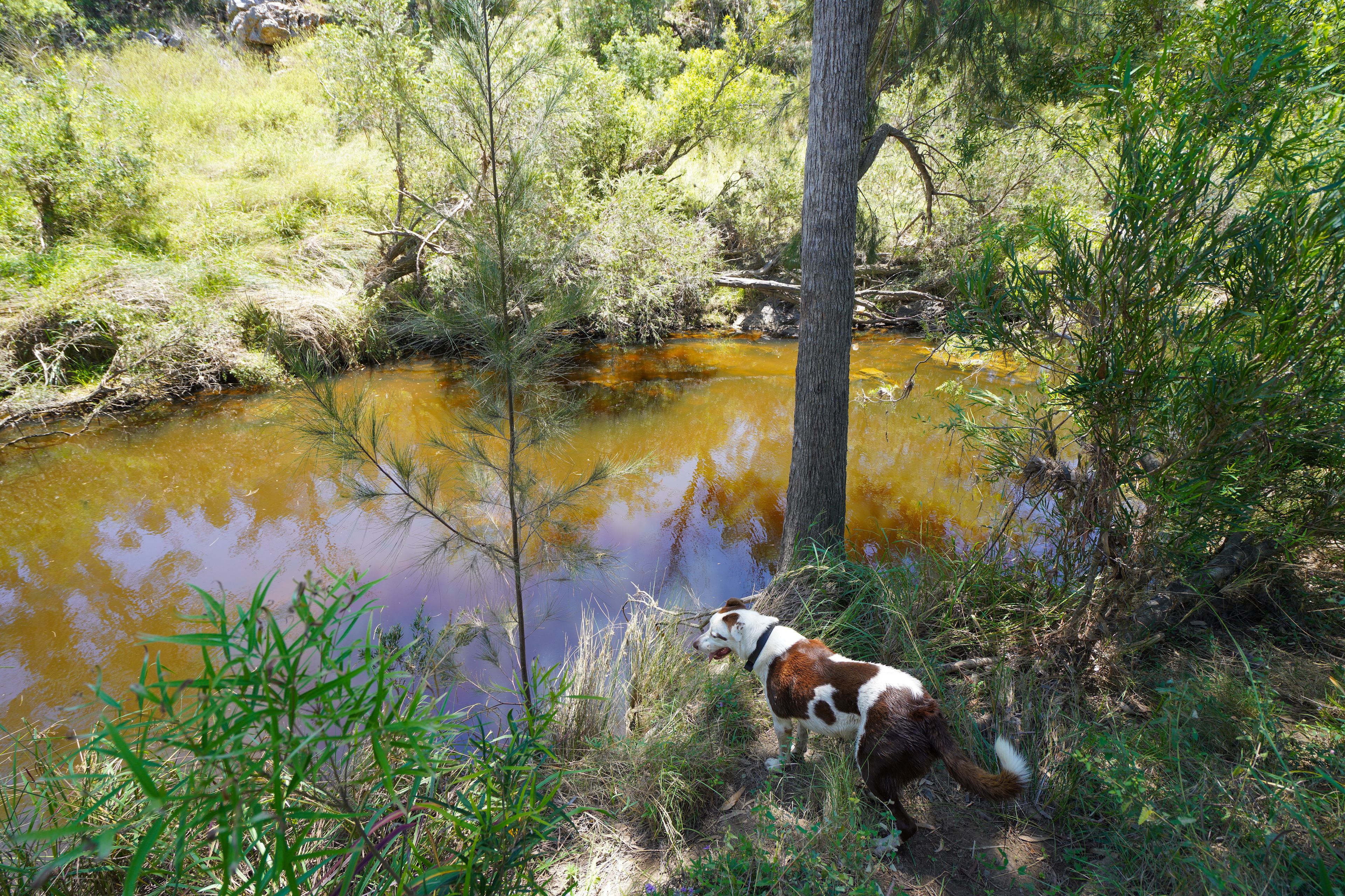 great spot for a dip