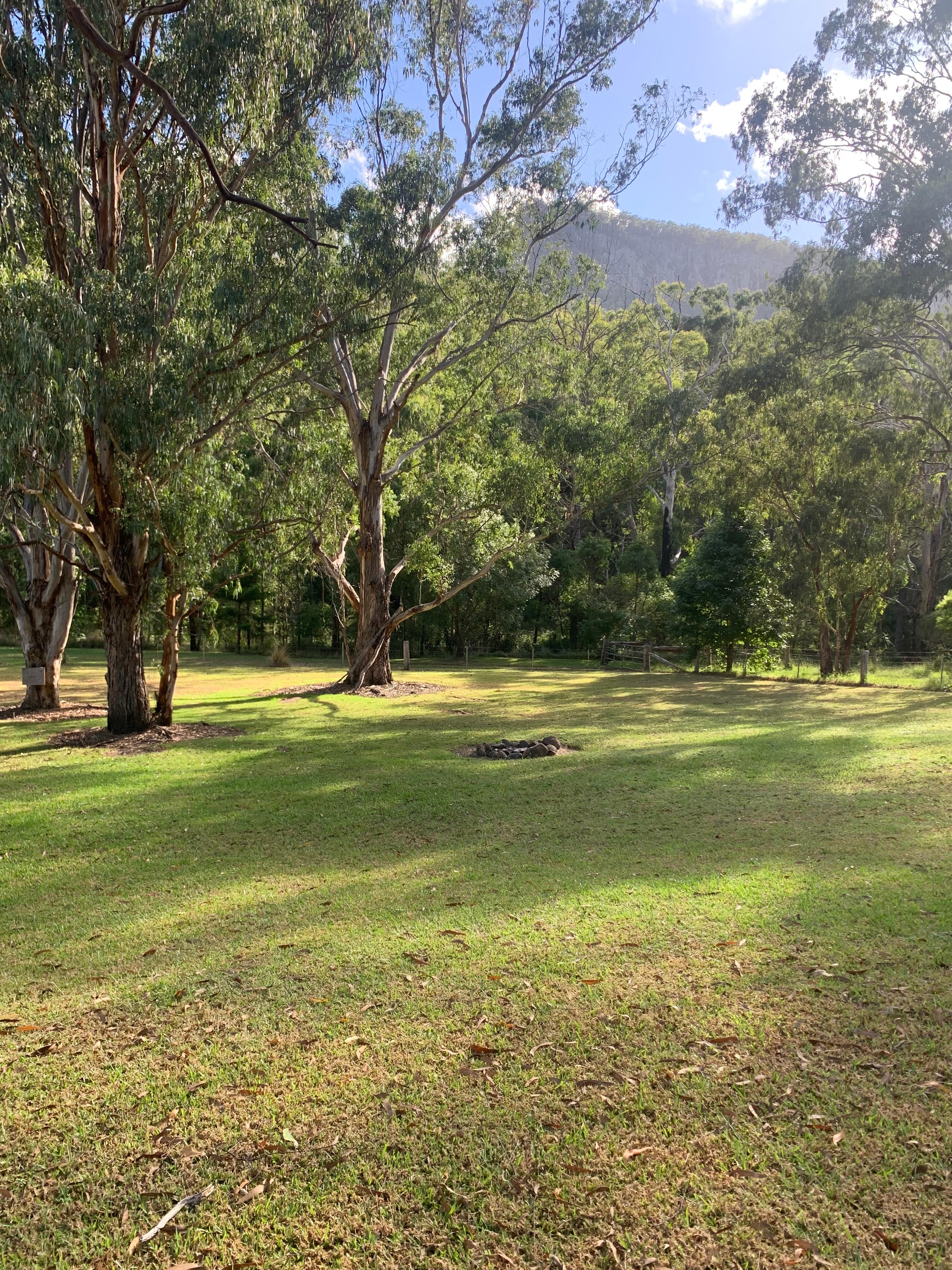 Broangus Bomber Wreck Rest