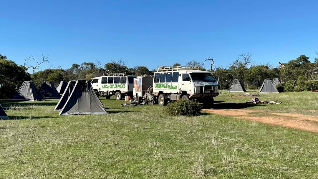 Mikkira Station Koala Sanctuary