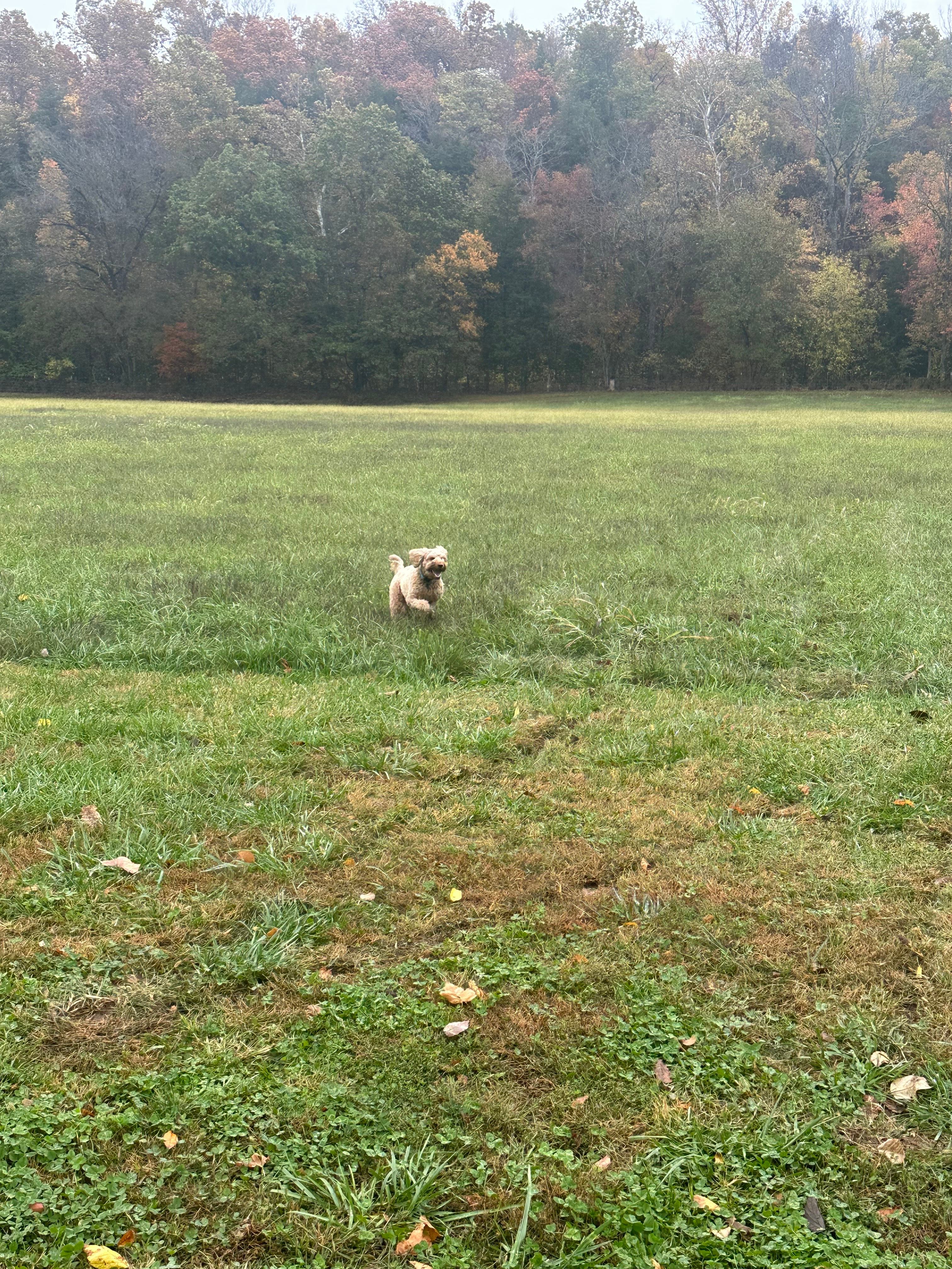 Kingston Trails RV Park