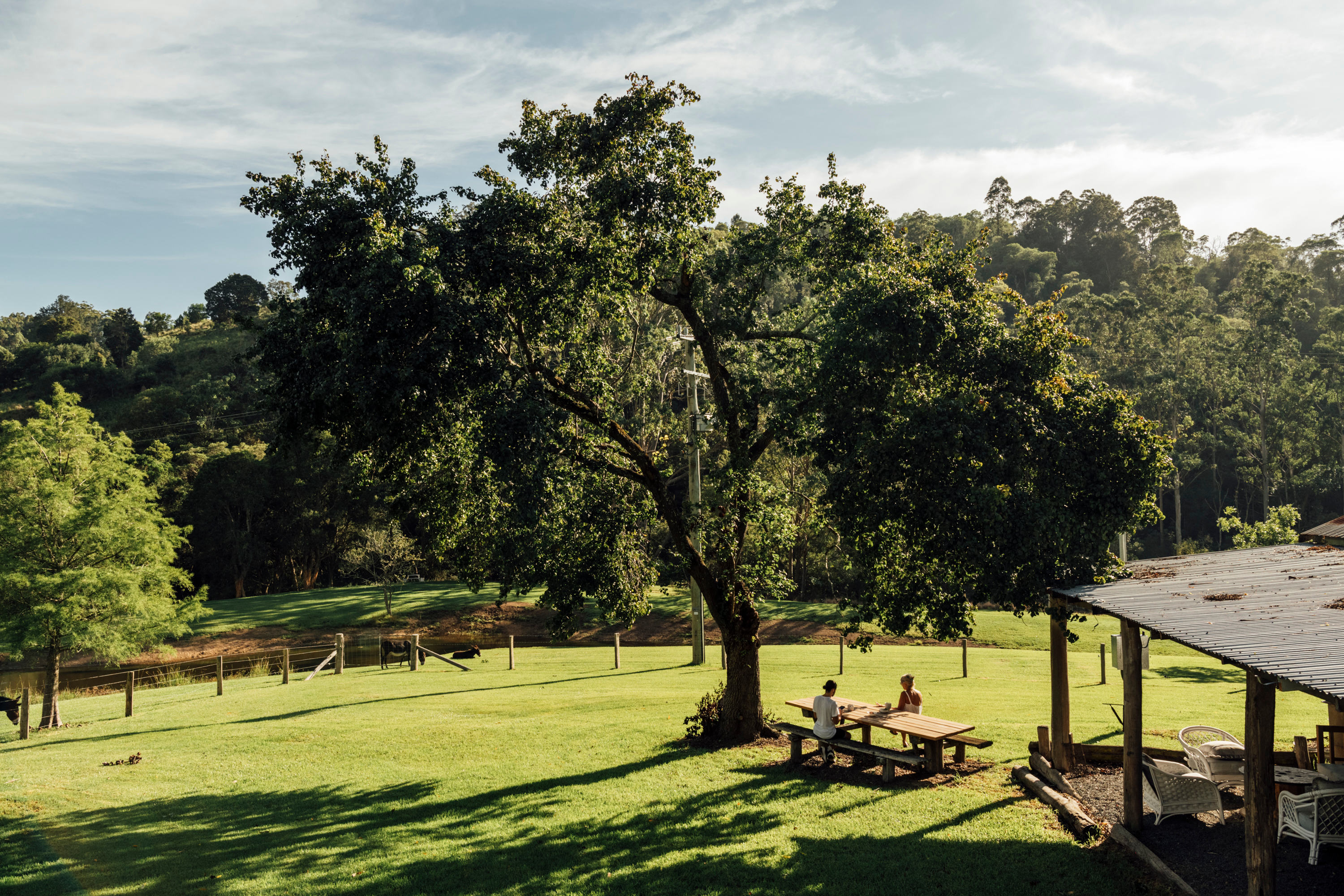 Looking down to the property from the house