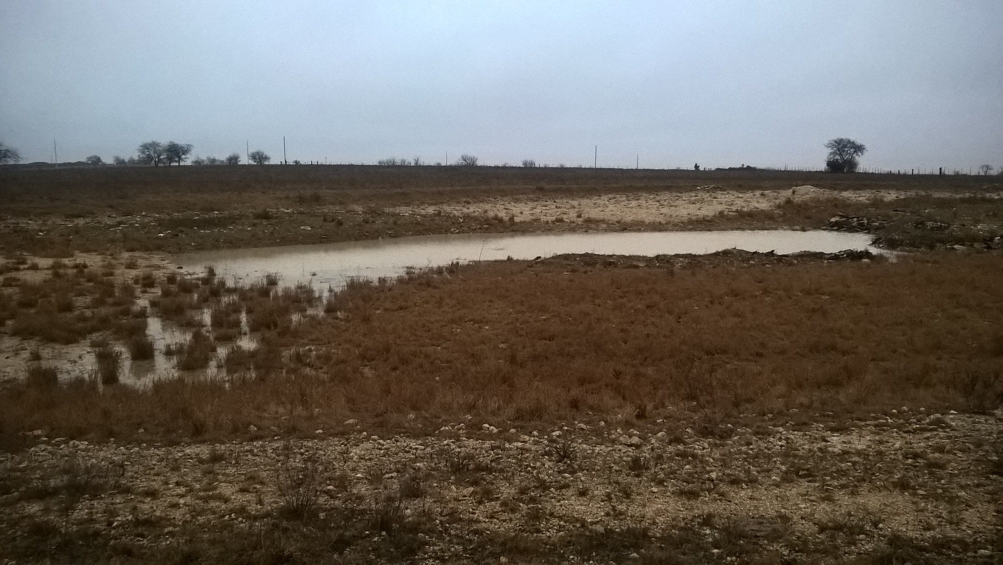 Lazy D Ranch
