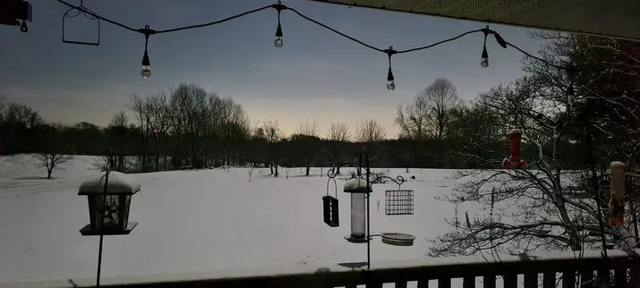 Holy Hope Farms
