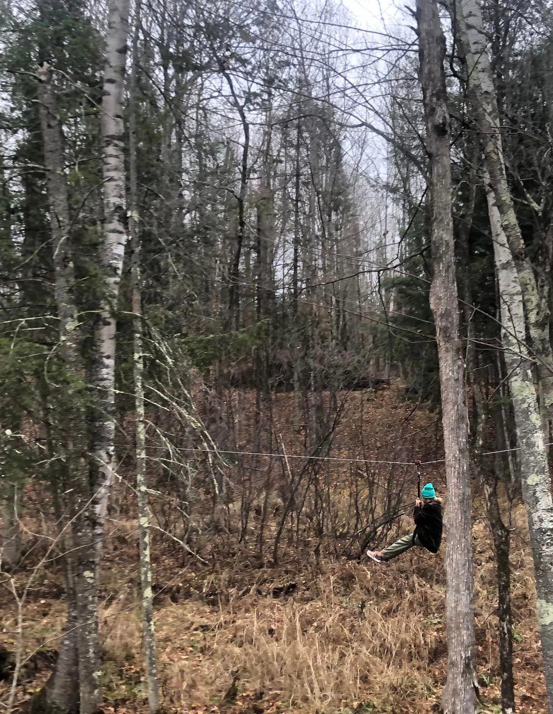Fitzlow Forest