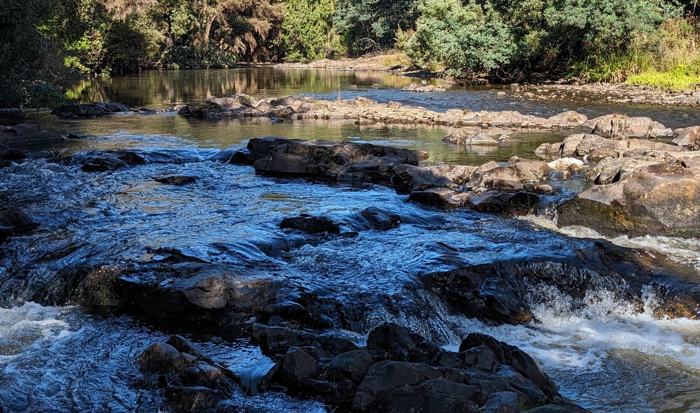 Dragon River Campground