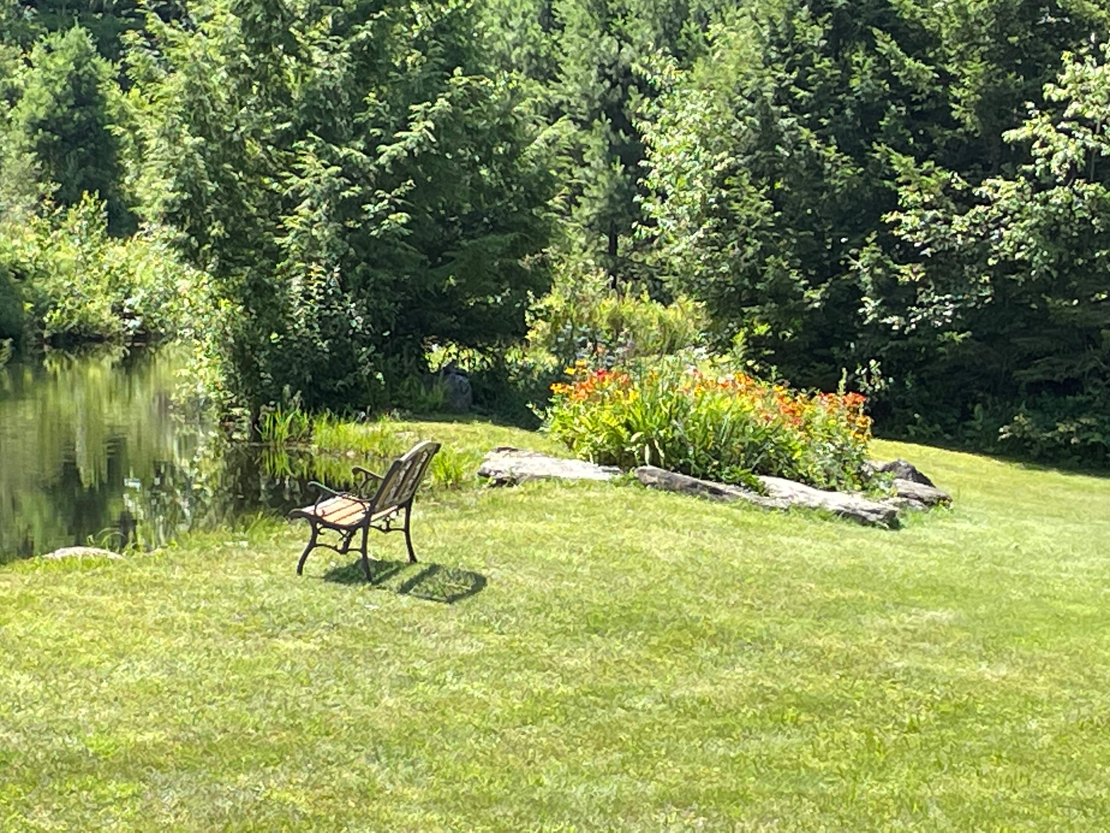 Maple Rock Hollow