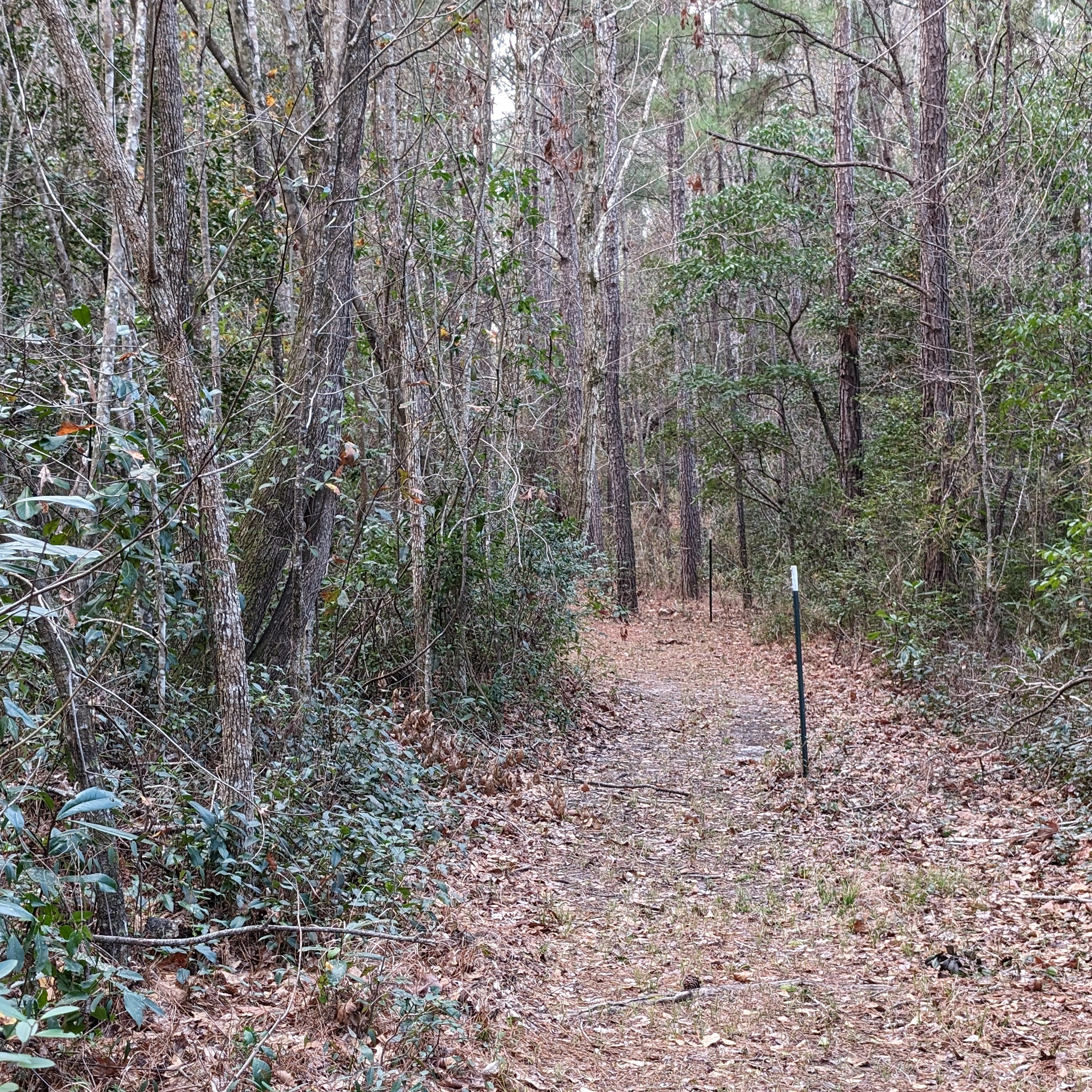 The Mill Creek Spread