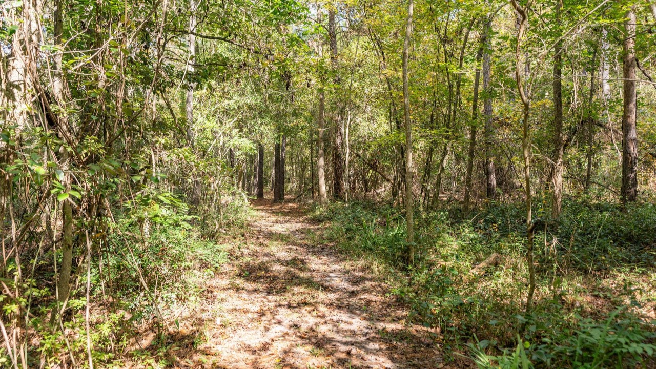 The Mill Creek Spread