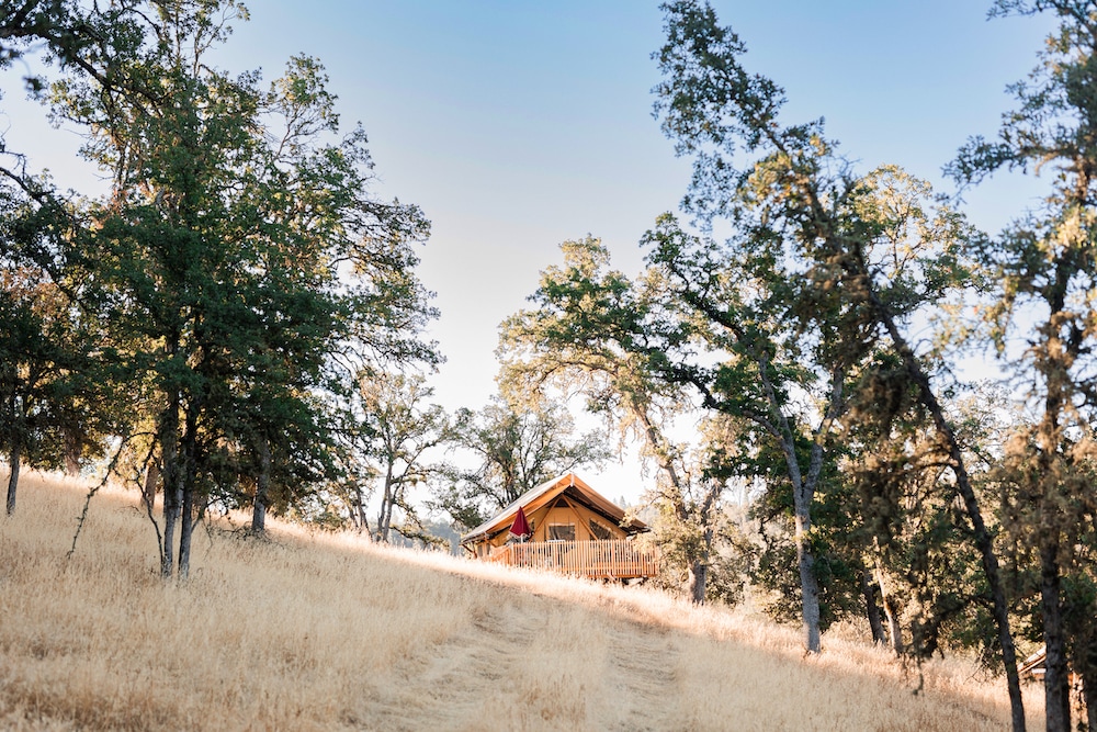 Wine Country Huttopia