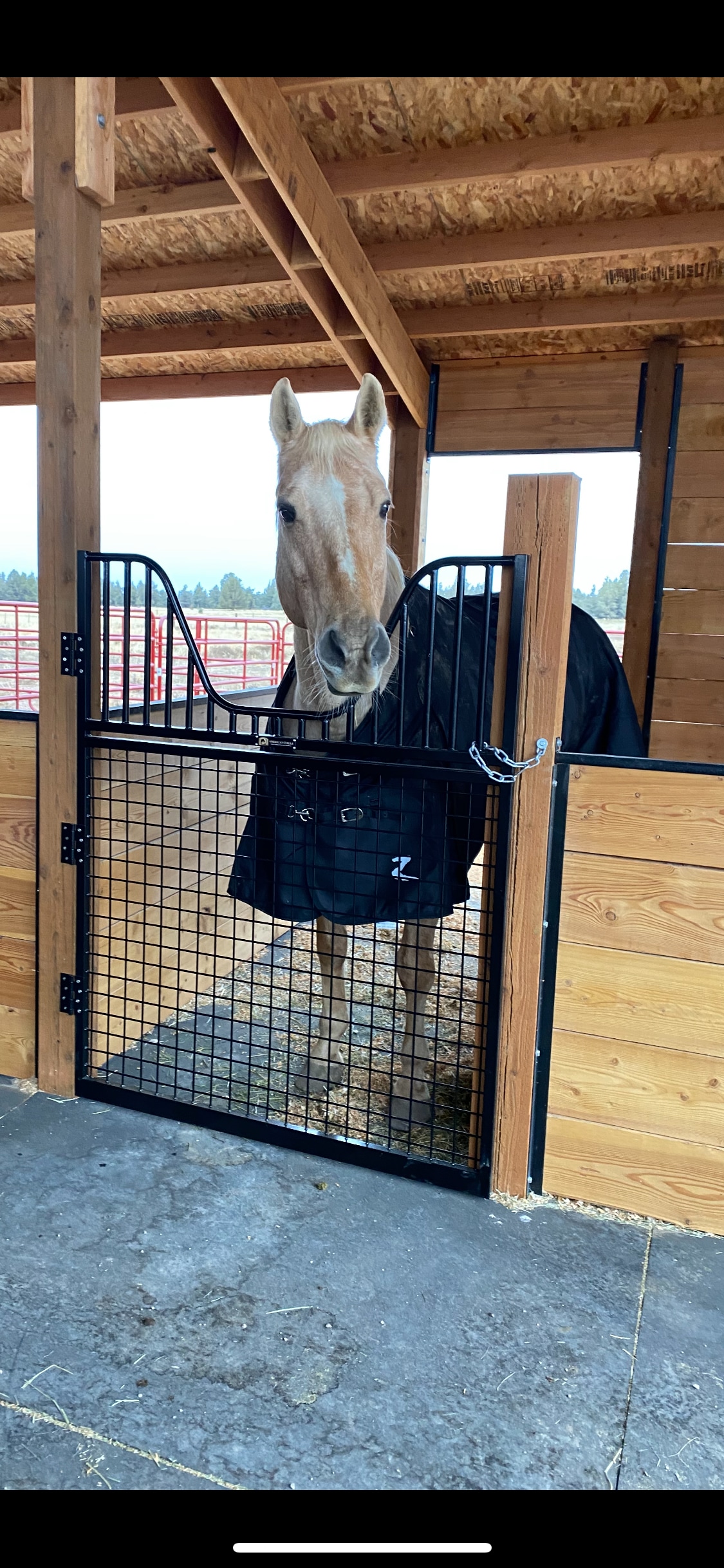 Pacific Star Ranch LLC.