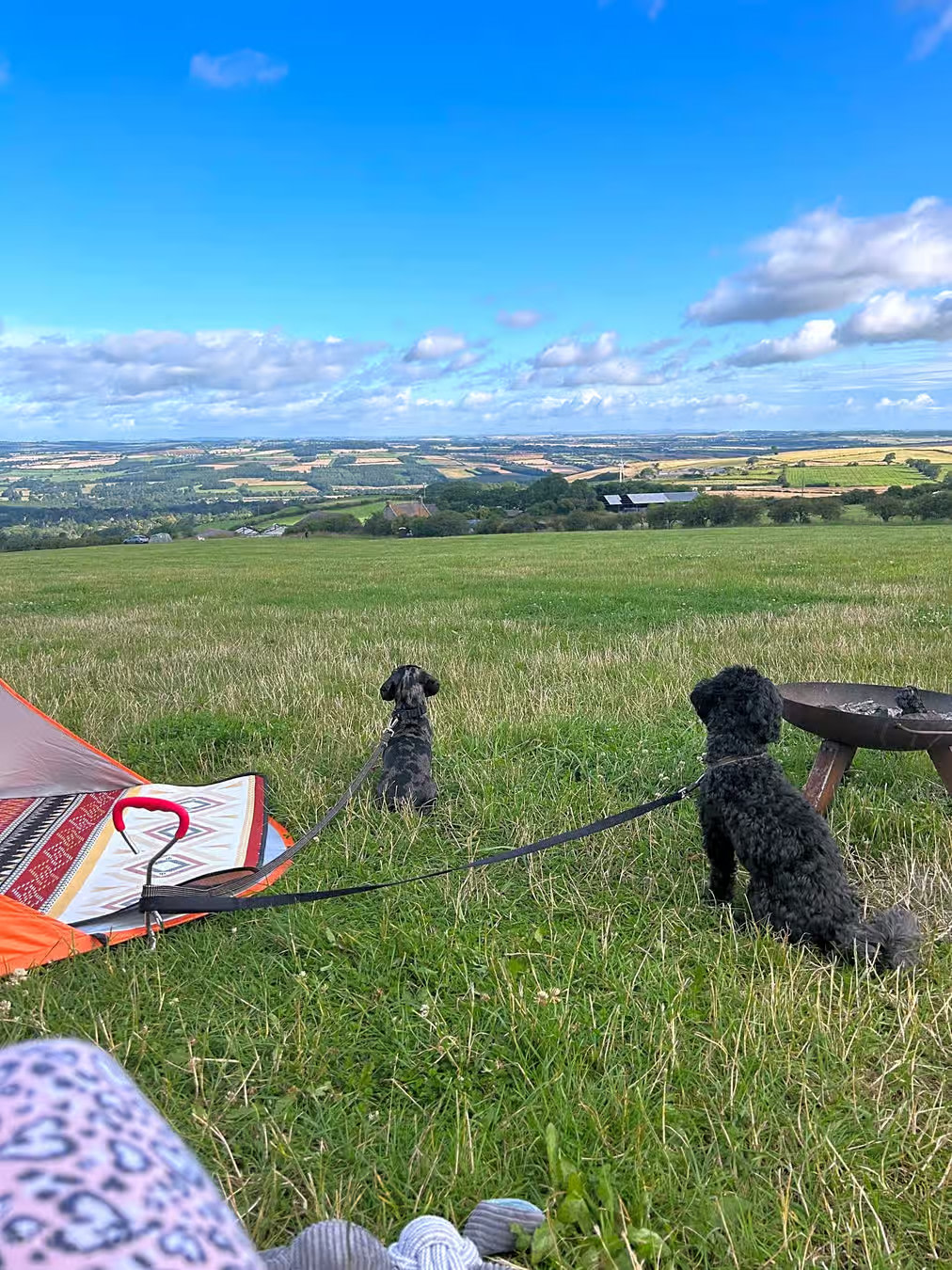Tyne View Camping