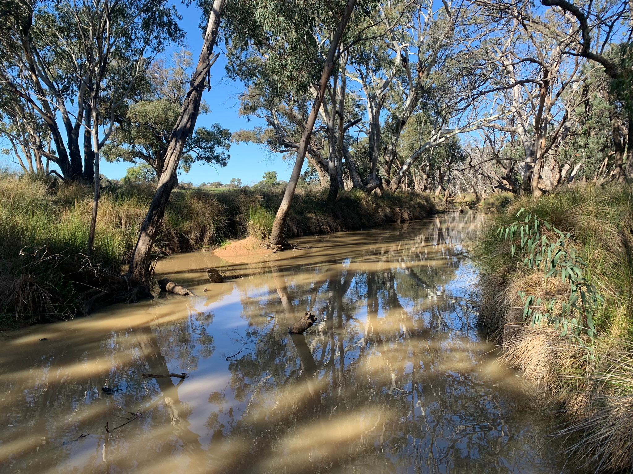 YARRALLA on the Marthaguy