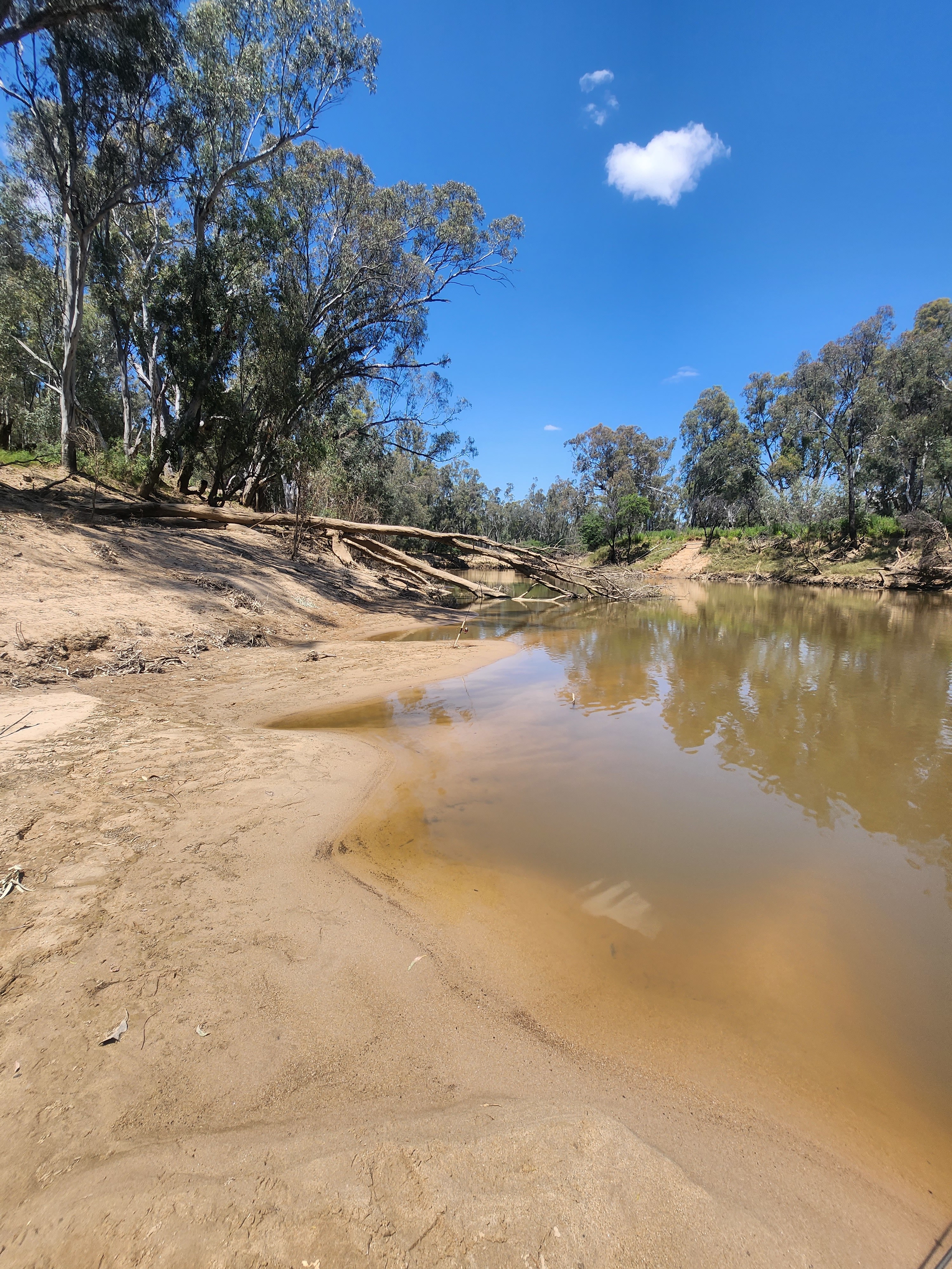 Goulburn Downs