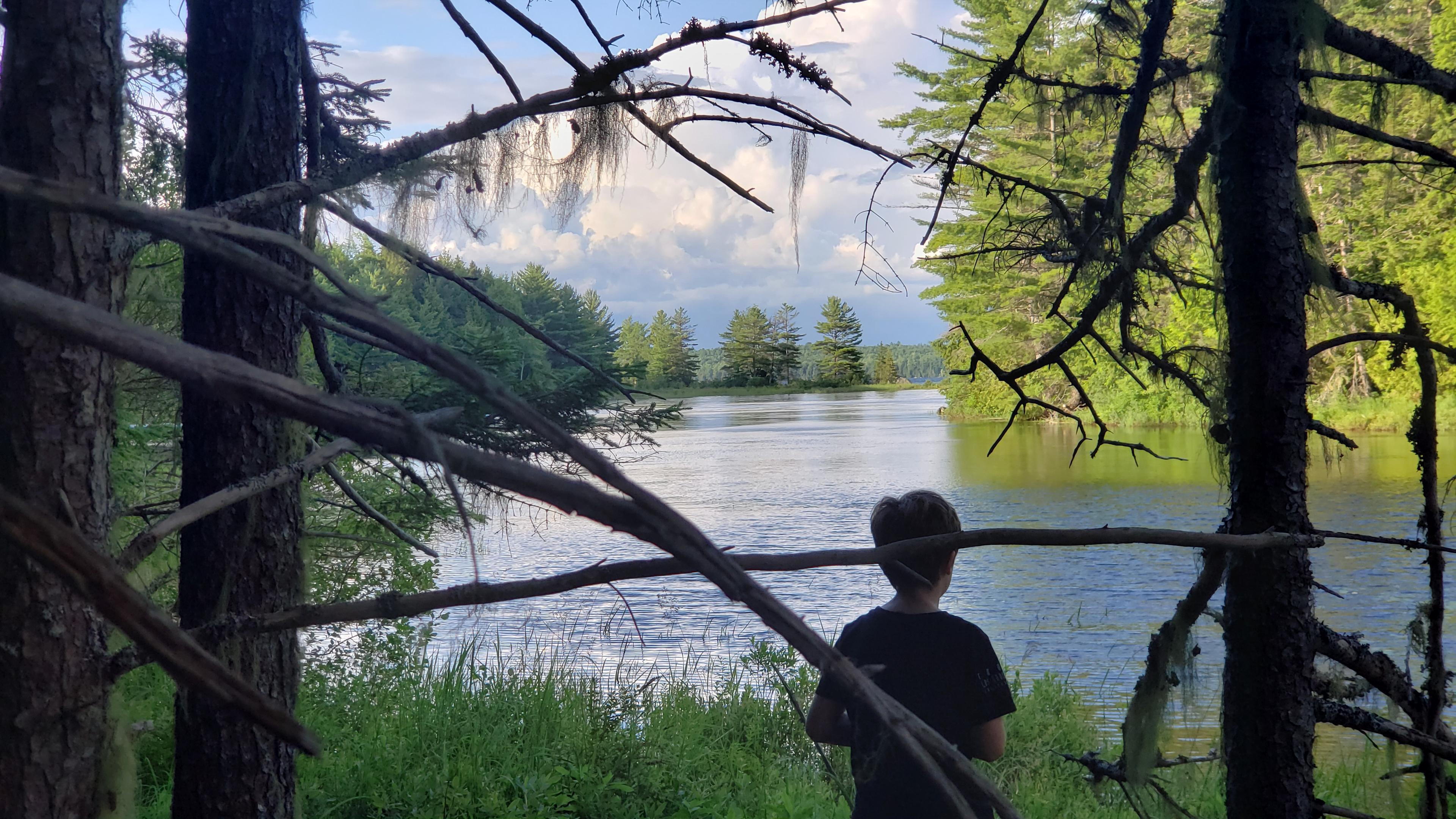 Wild Fox Cabins- The Shoe-Inn
